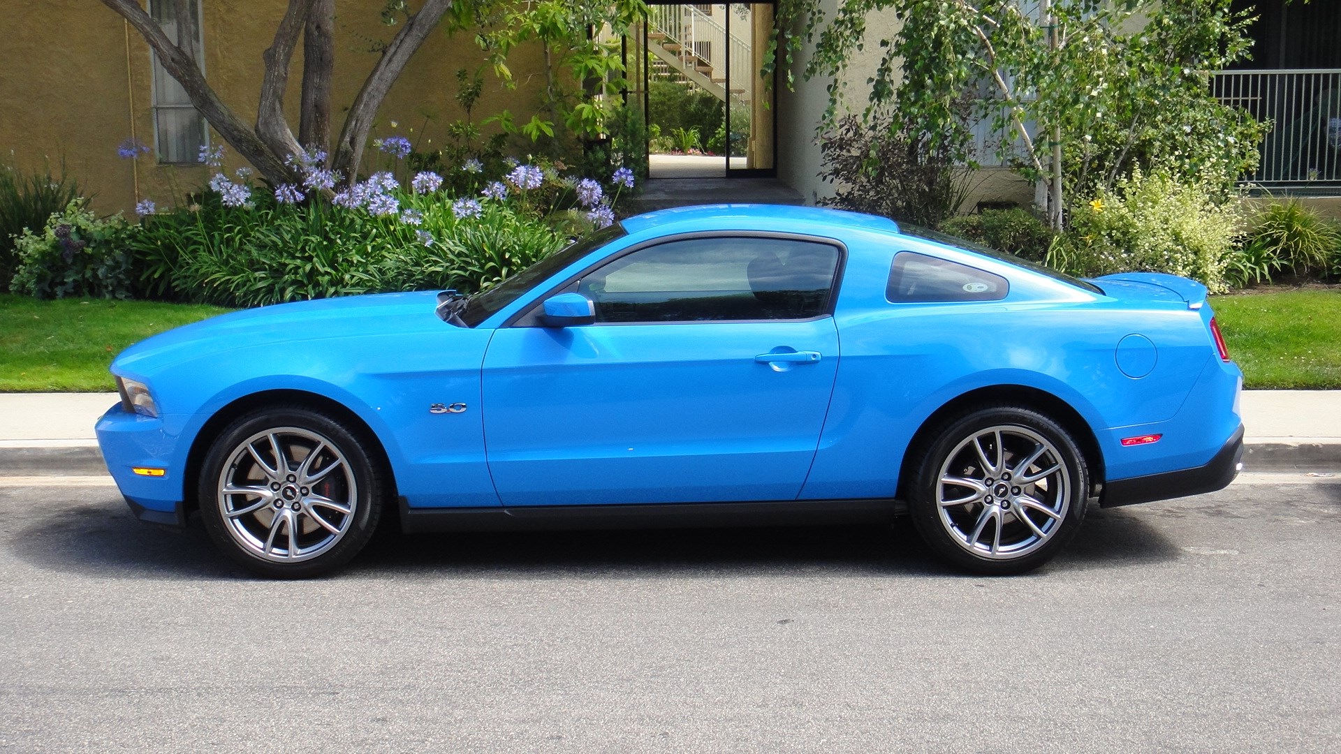 Blue Ford Mustang parked on a street HD Wallpaper