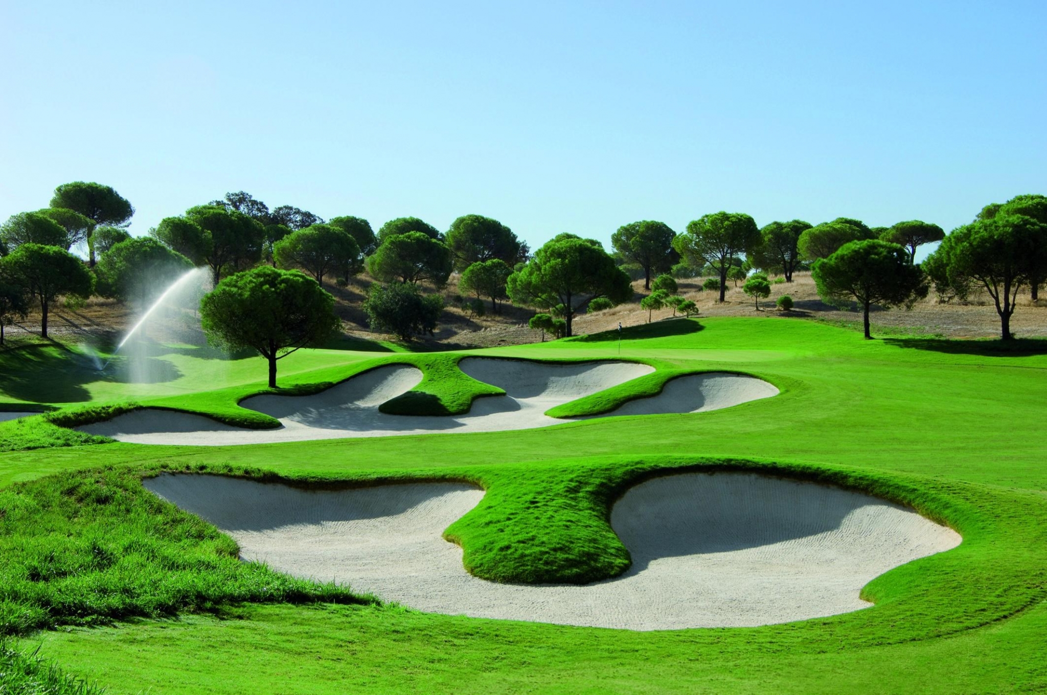 Golf course with sand traps and trees HD Wallpaper