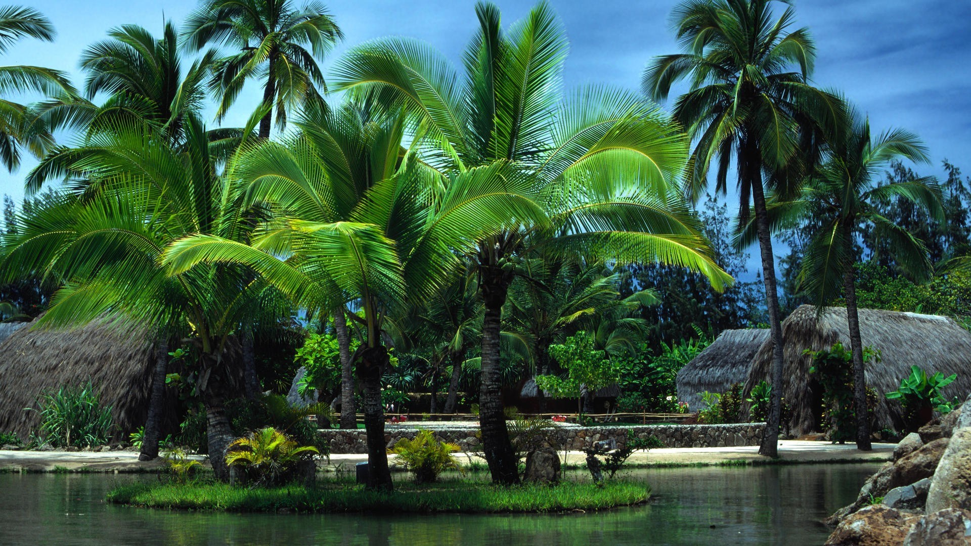Tropical island with palm trees and huts HD Wallpaper
