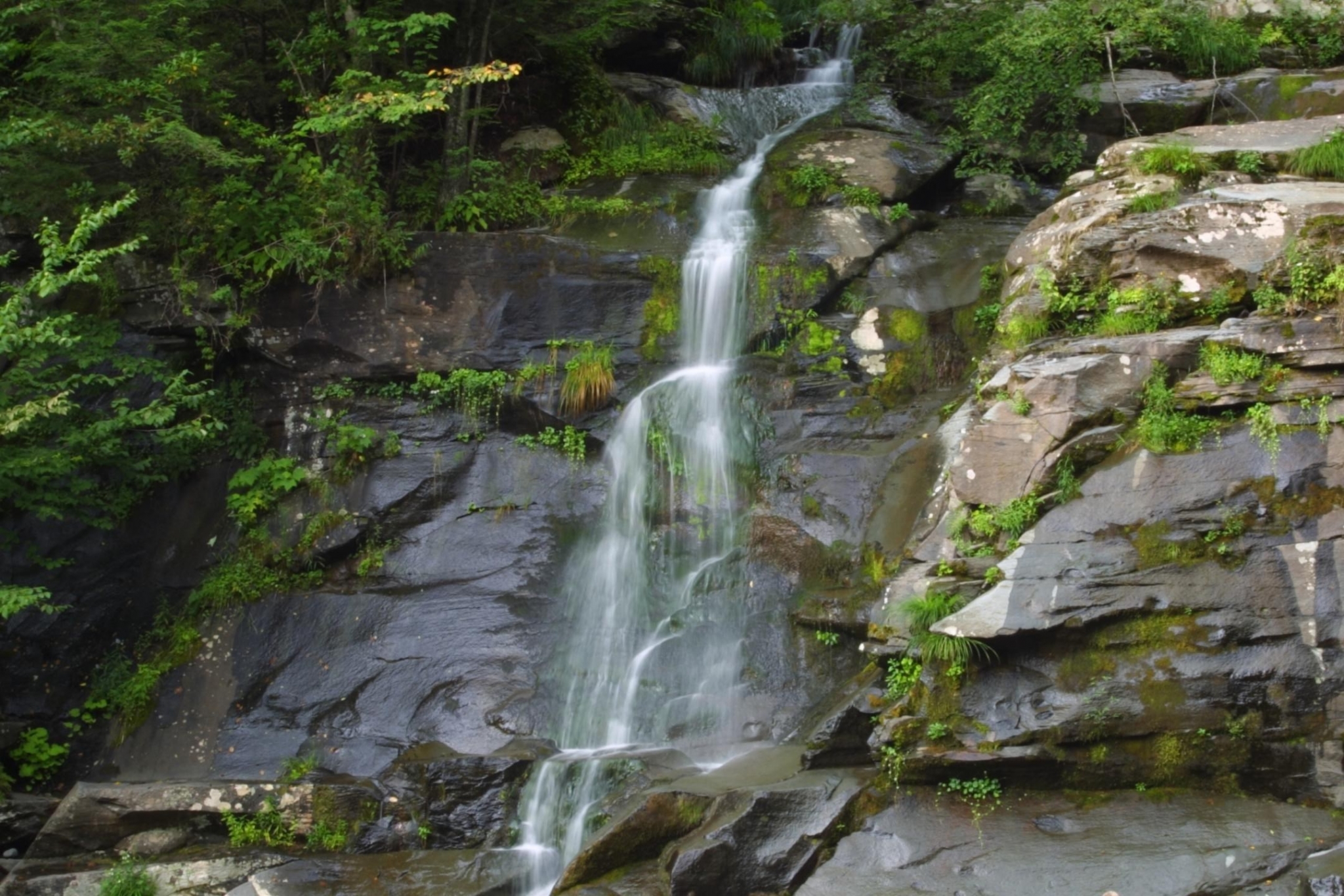 Waterfall cascading over mossy rocks in a forest HD Wallpaper