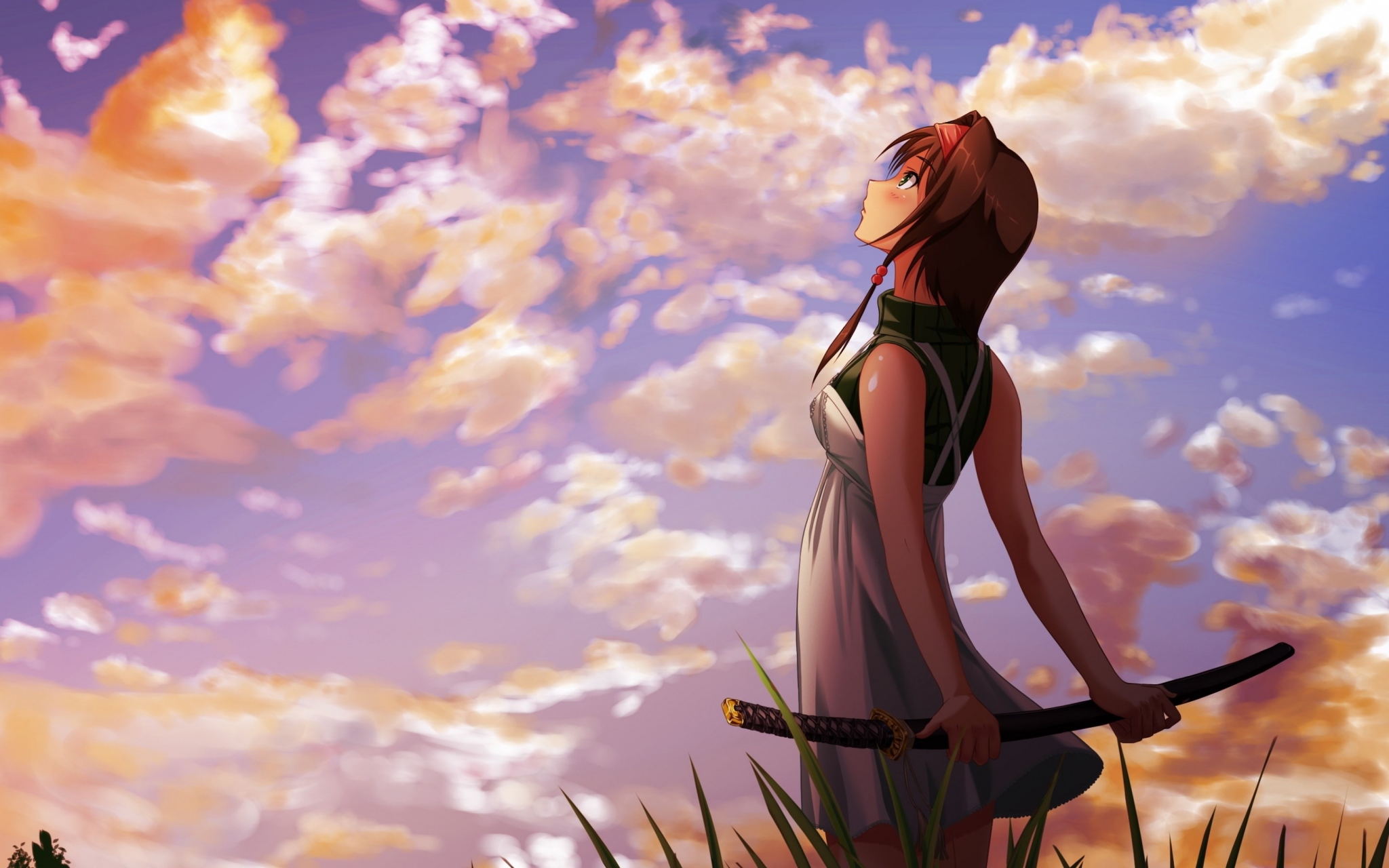 Anime girl with sword at sunset HD Wallpaper