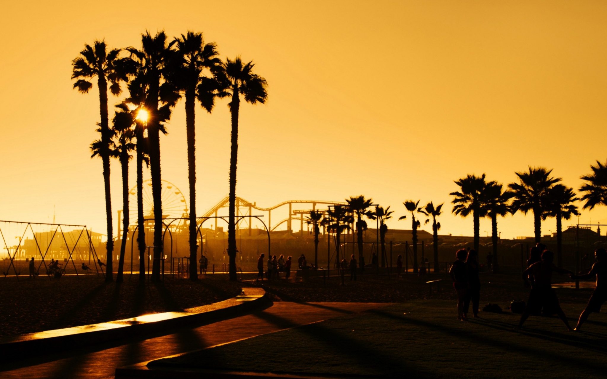 Palm trees and amusement park rides at sunset HD Wallpaper