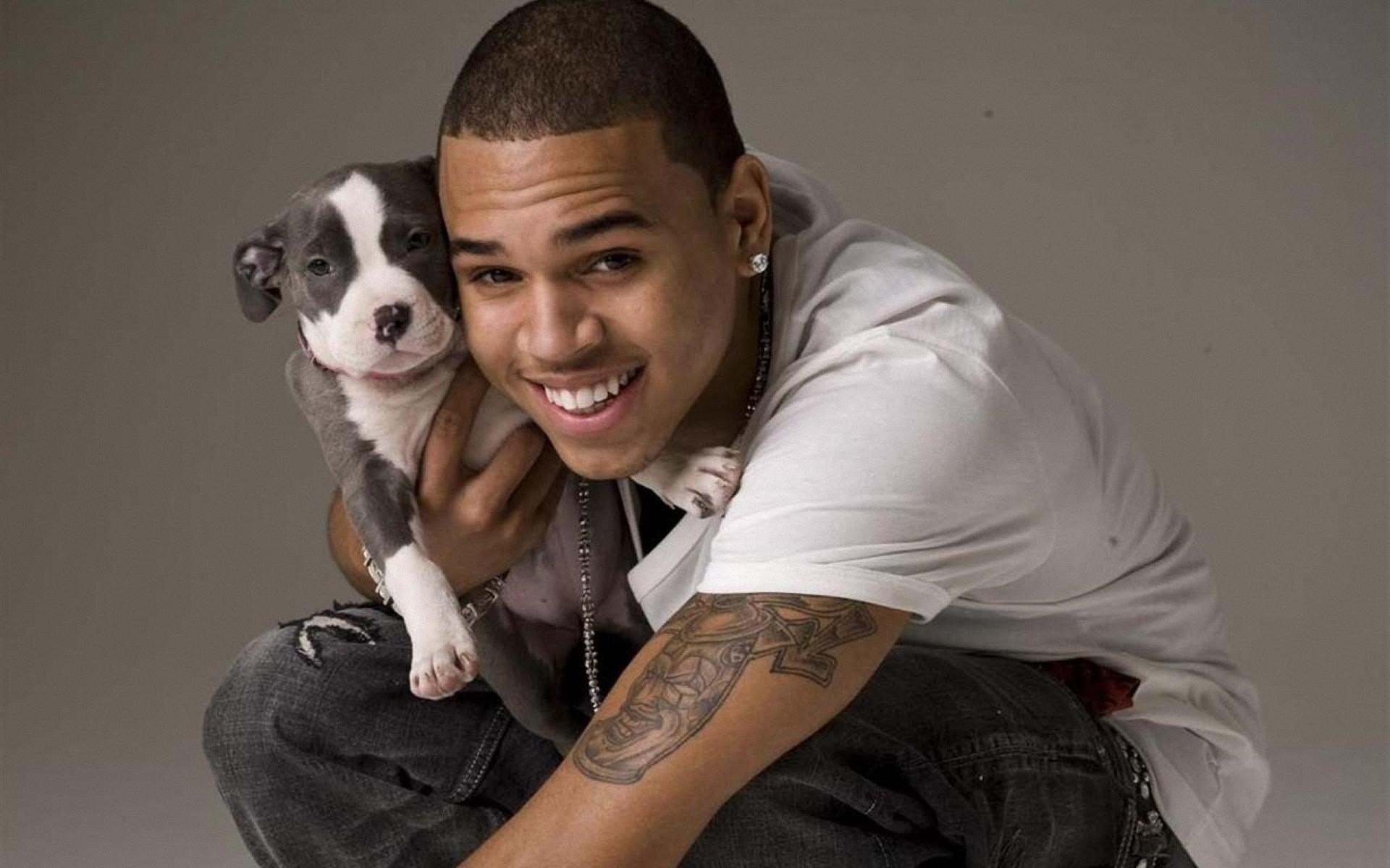 Chris Brown holding a pitbull puppy HD Wallpaper