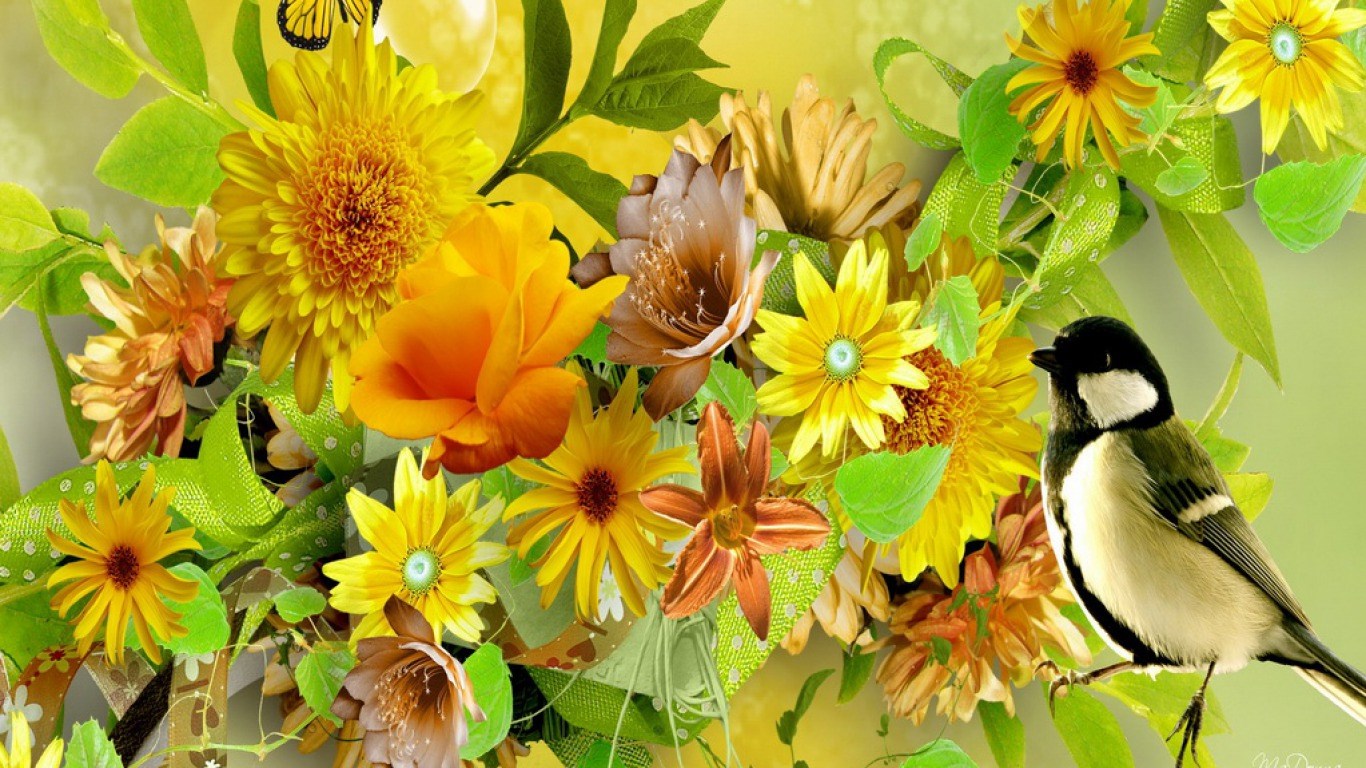 A bird perched on a branch with yellow flowers HD Wallpaper