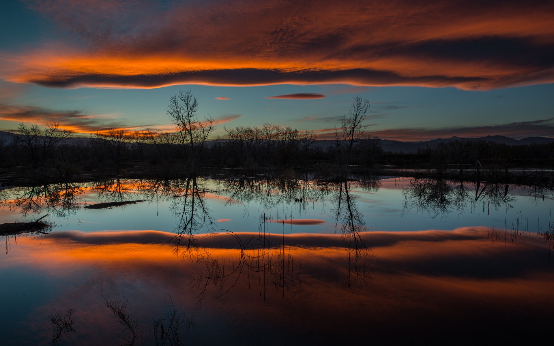 Sunset over a reflective body of water with silhouetted trees HD Wallpaper