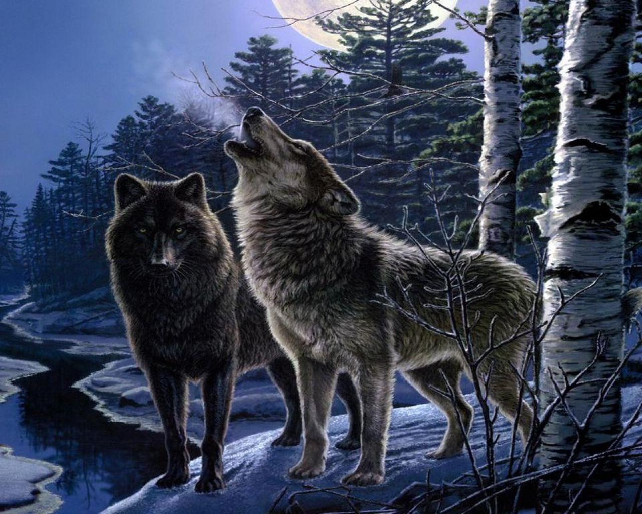 Two wolves howling at the moon in a snowy forest HD Wallpaper