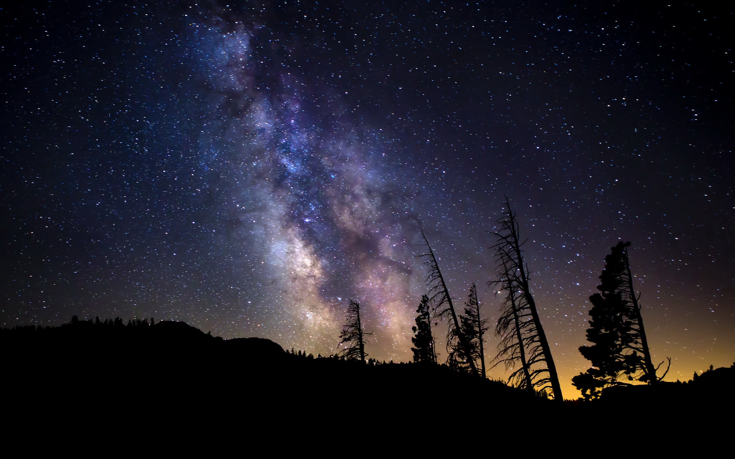 Milky Way Galaxy Over Silhouetted Trees HD Wallpaper