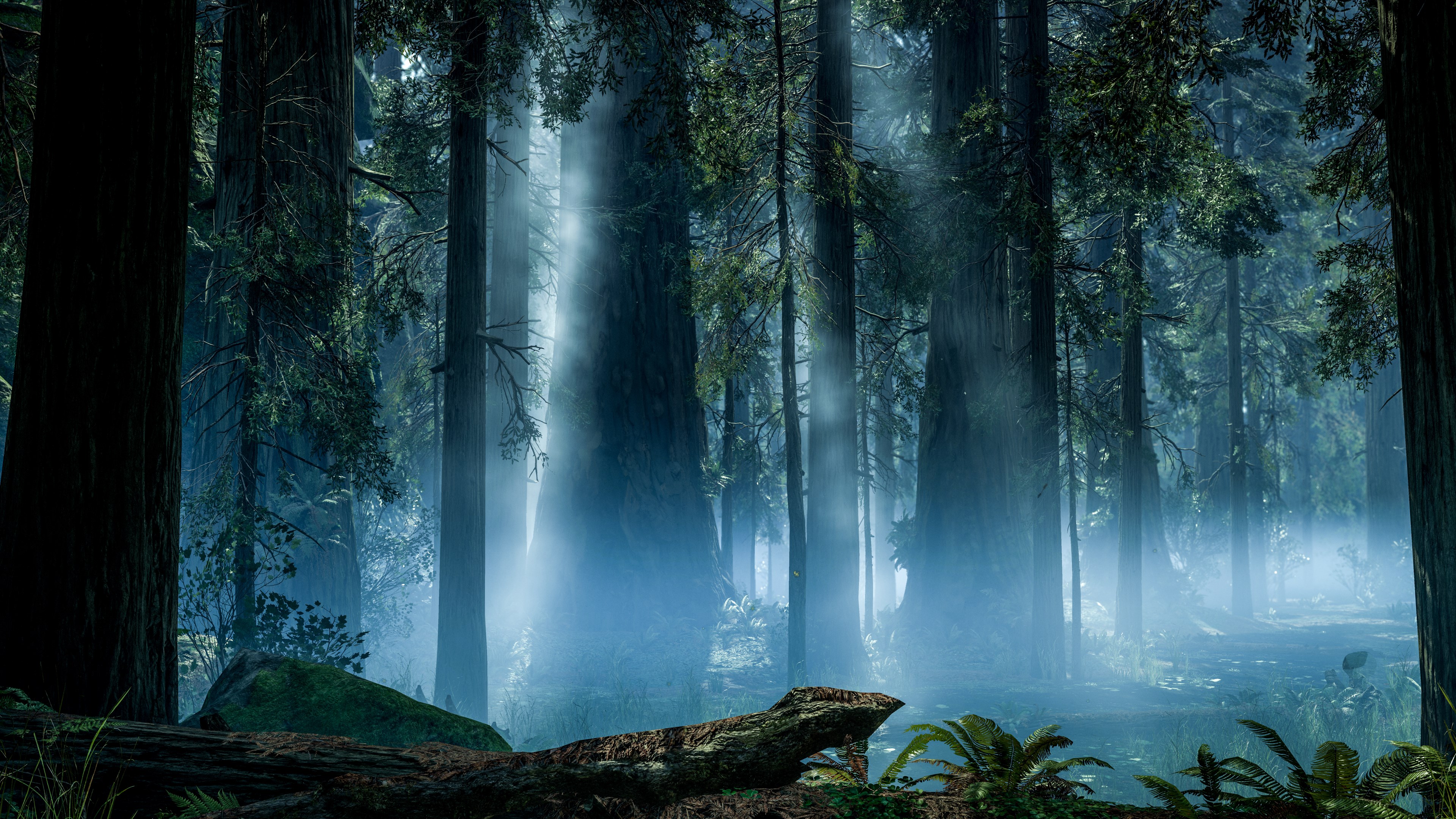 Star Wars Battlefront 2015 Forest Scene HD Wallpaper