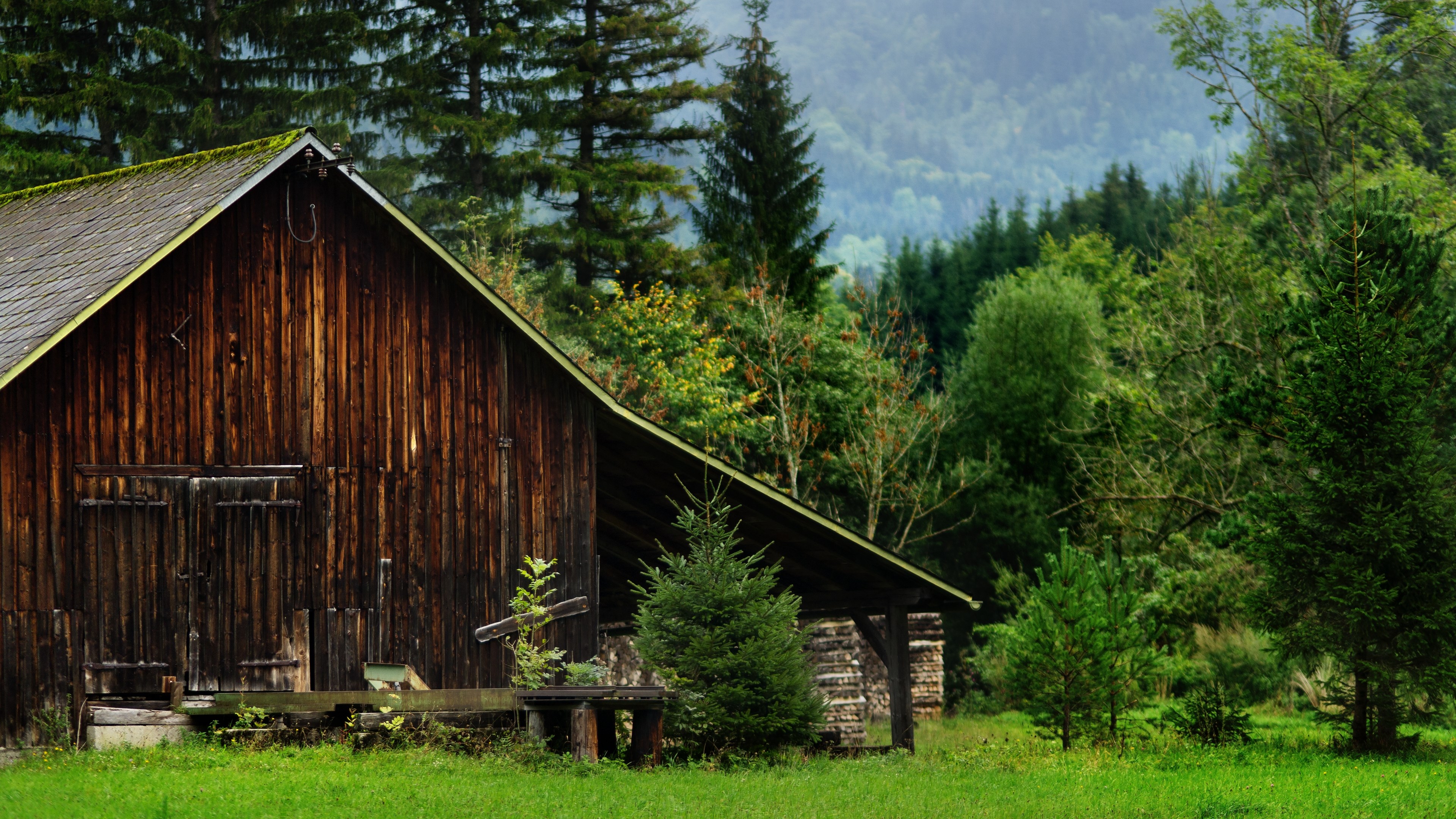 Wooden barn in a forest landscape HD Wallpaper