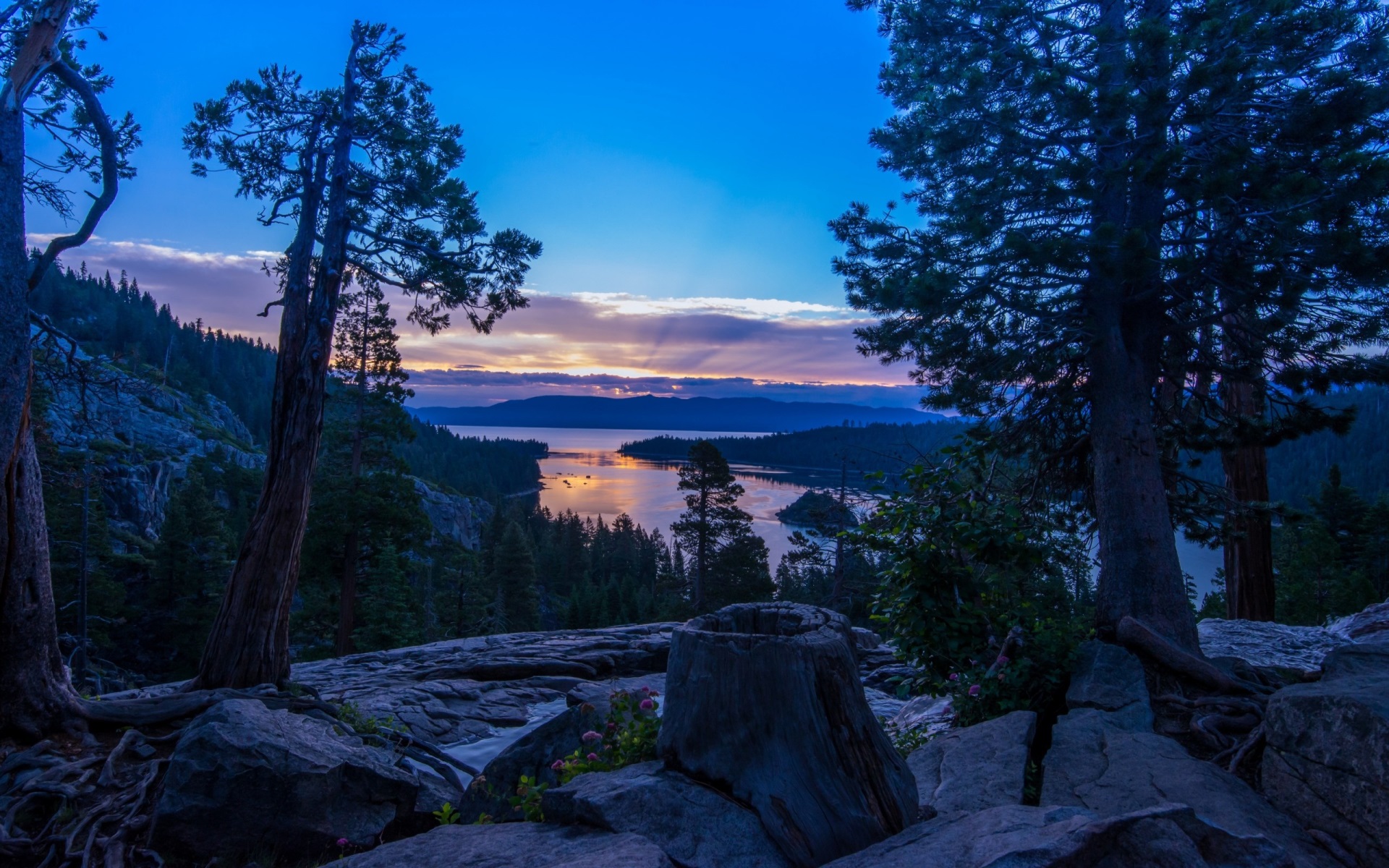 Lake Tahoe at sunset with pine trees HD Wallpaper