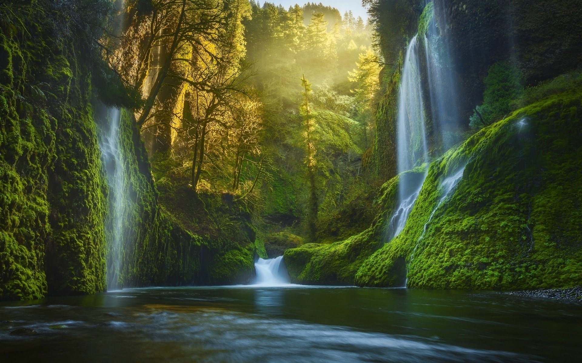 Waterfall in a Mossy Forest HD Wallpaper