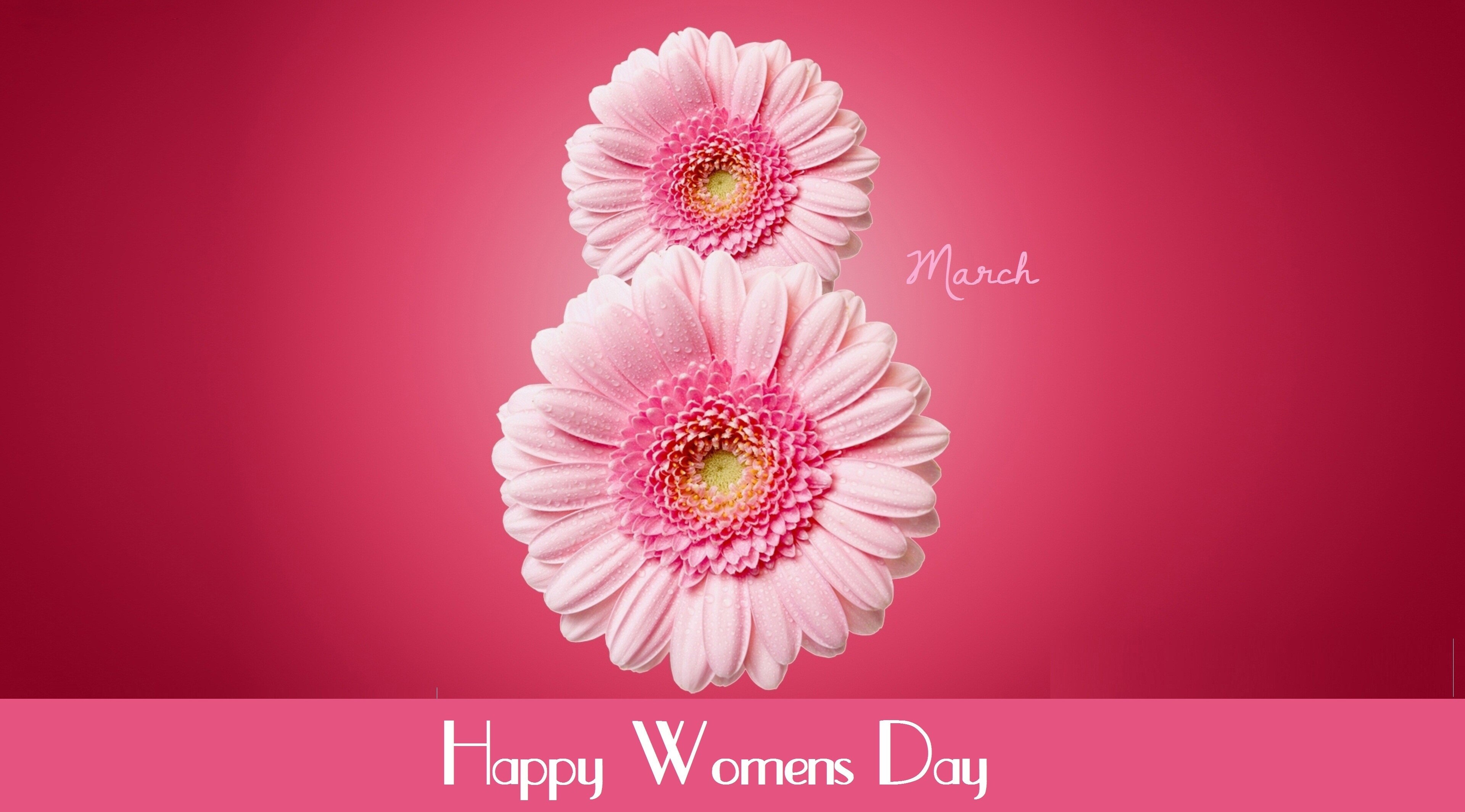 Happy Womens Day March 8 Flowers HD Wallpaper