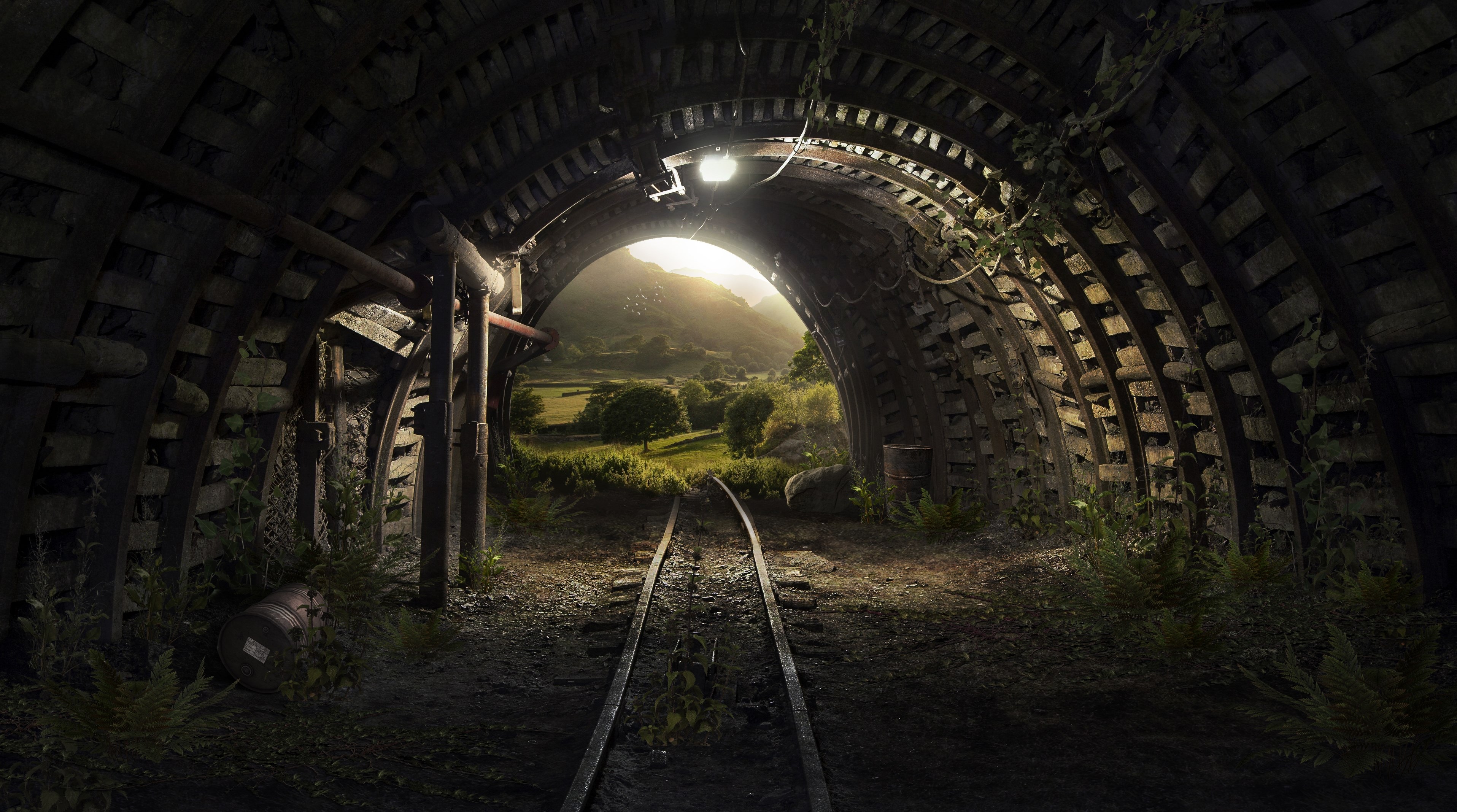 4K Tunnel Leading to Sunny Green Landscape HD Wallpaper