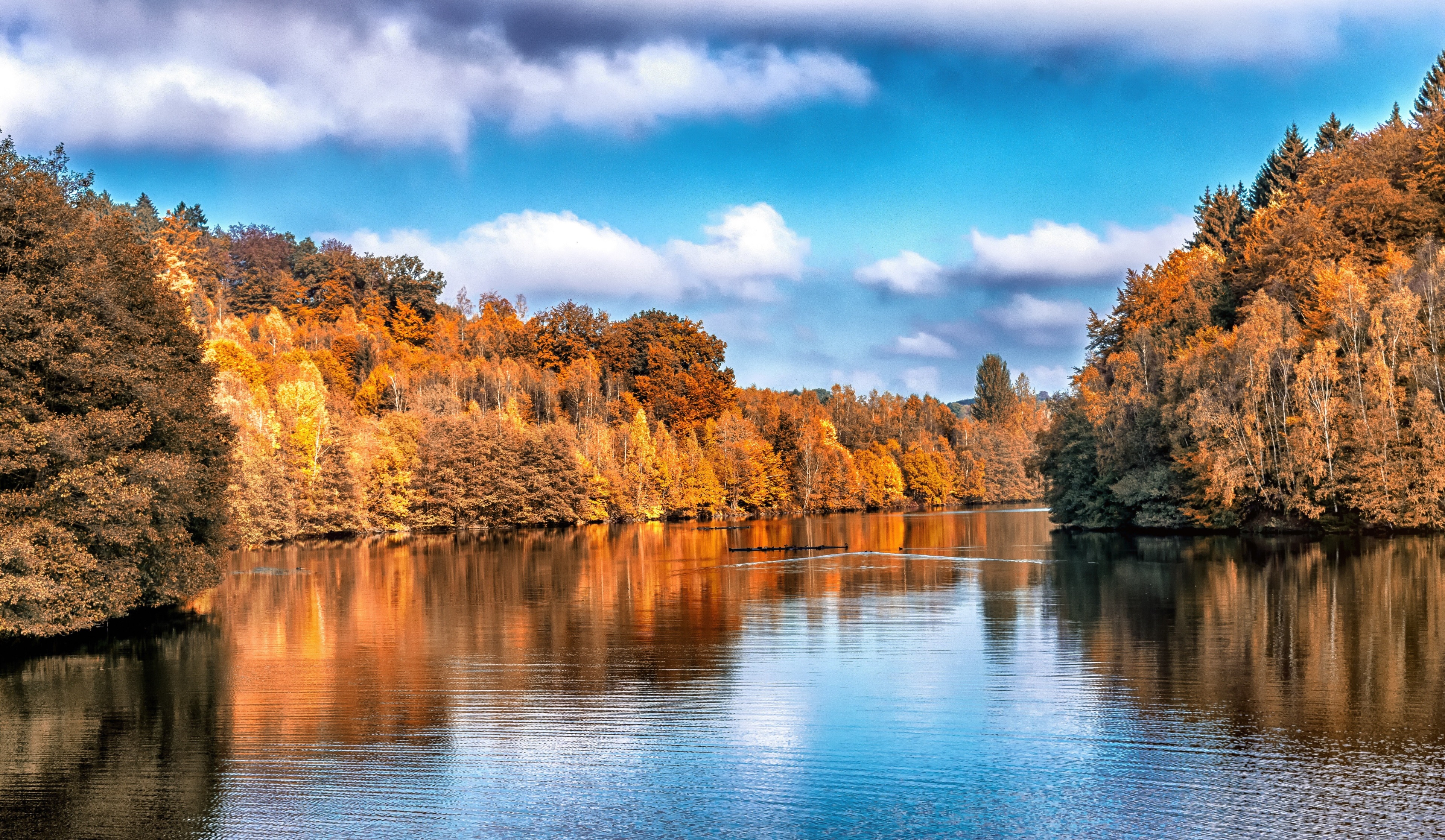 Autumn forest reflecting in a lake HD Wallpaper