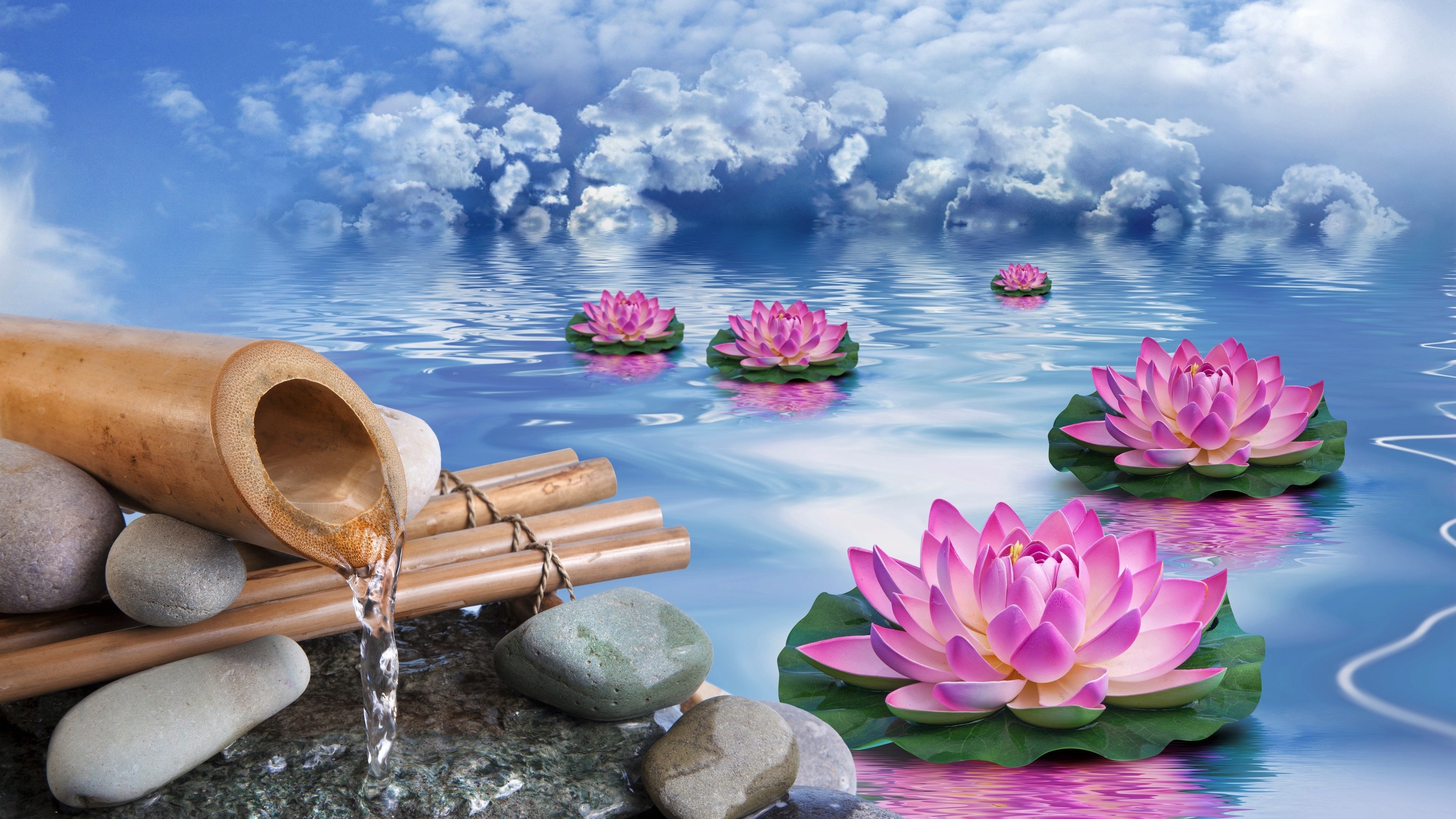 Bamboo fountain with lotus flowers in water HD Wallpaper