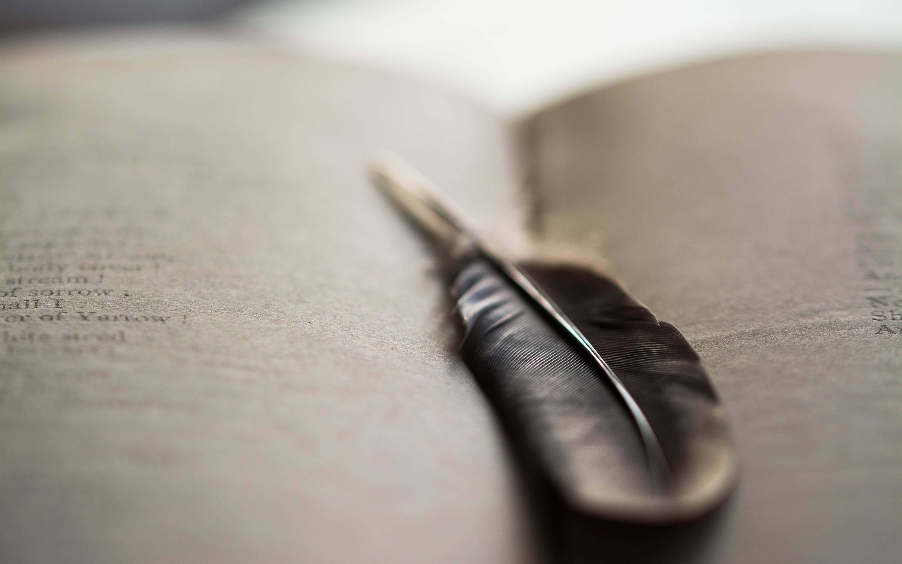Feather on an open book HD Wallpaper