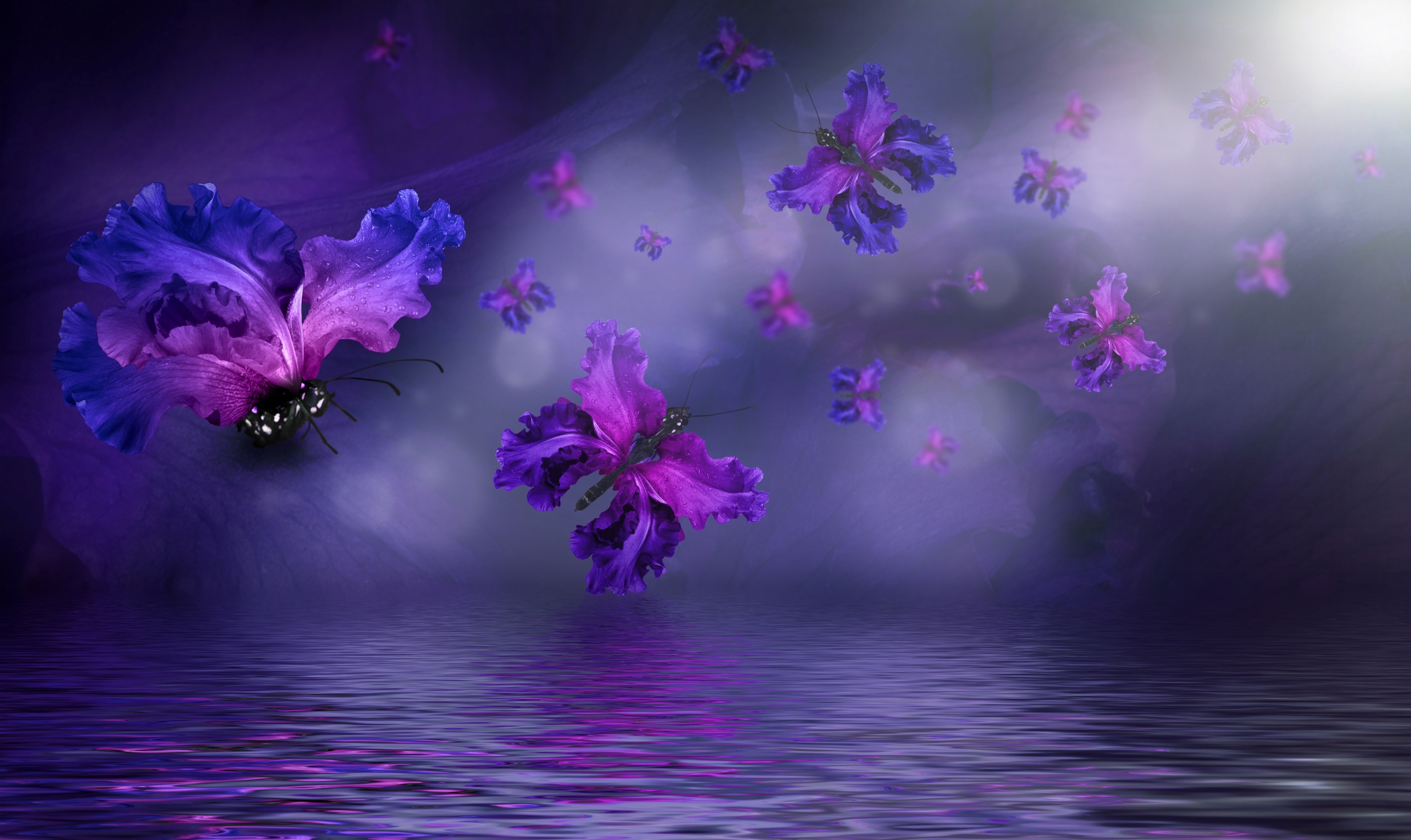 Purple butterflies made of flowers over water 4K HD Wallpaper