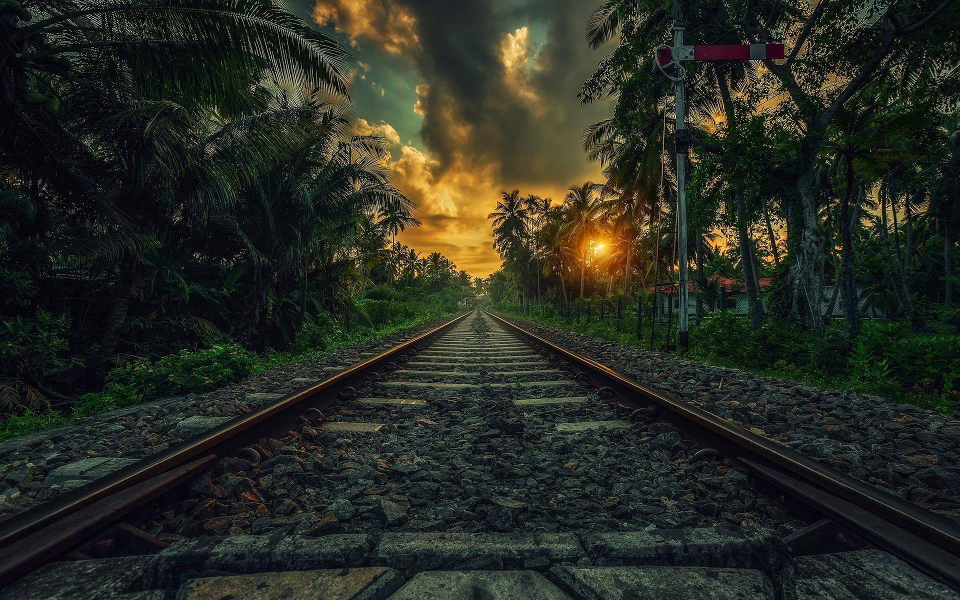Railway through palm trees at sunset in Sri Lanka HD Wallpaper