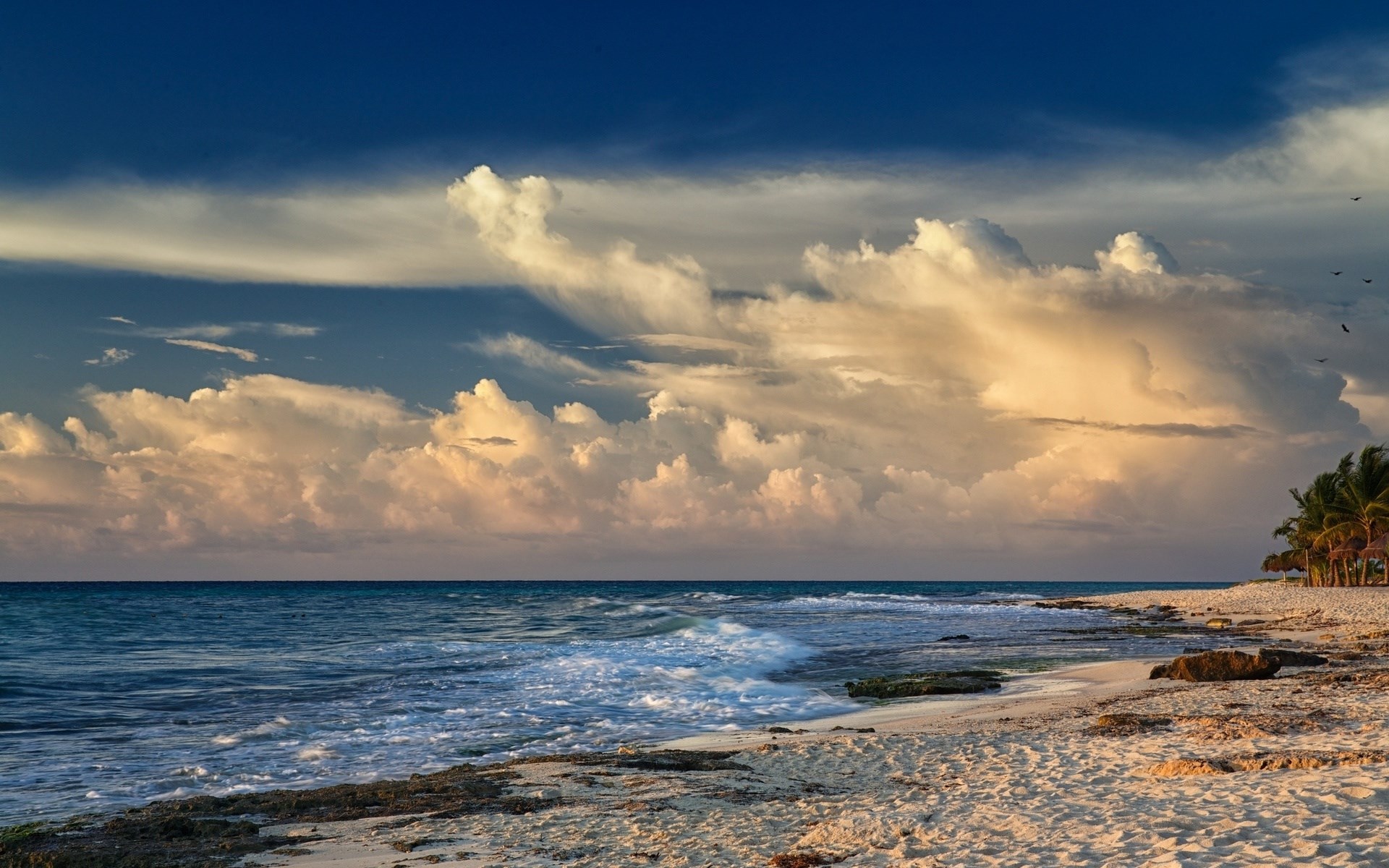 Beach with ocean waves and palm trees HD Wallpaper
