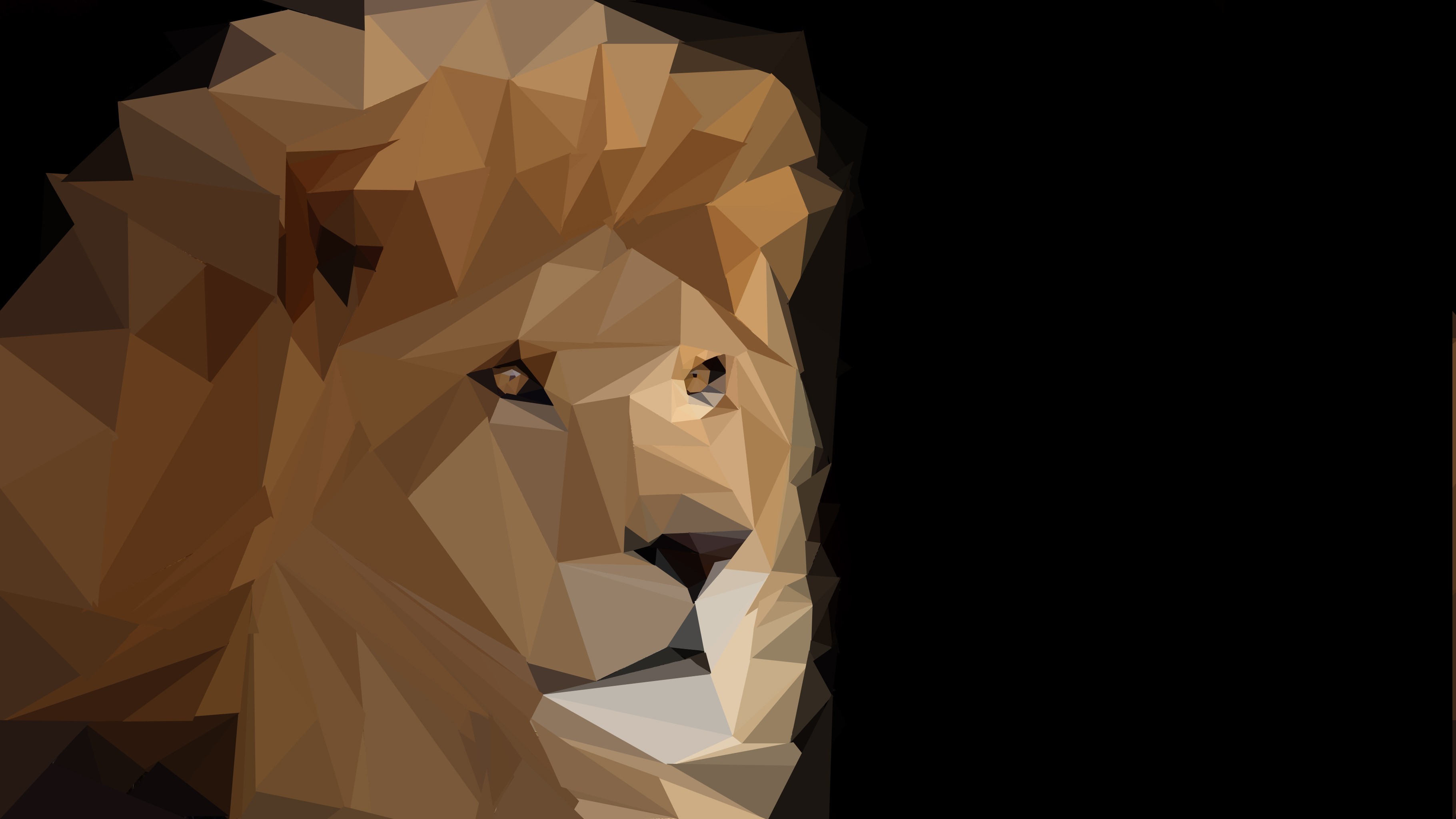 Low poly lion portrait on black background HD Wallpaper