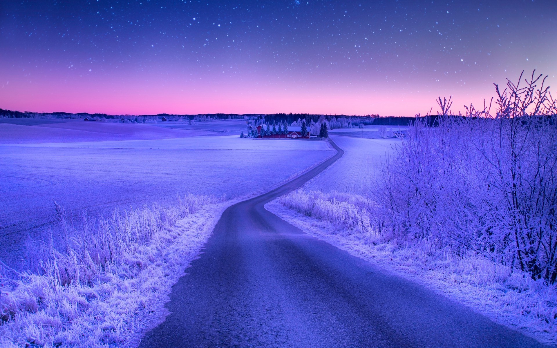 Winter road under starry sky at dusk HD Wallpaper