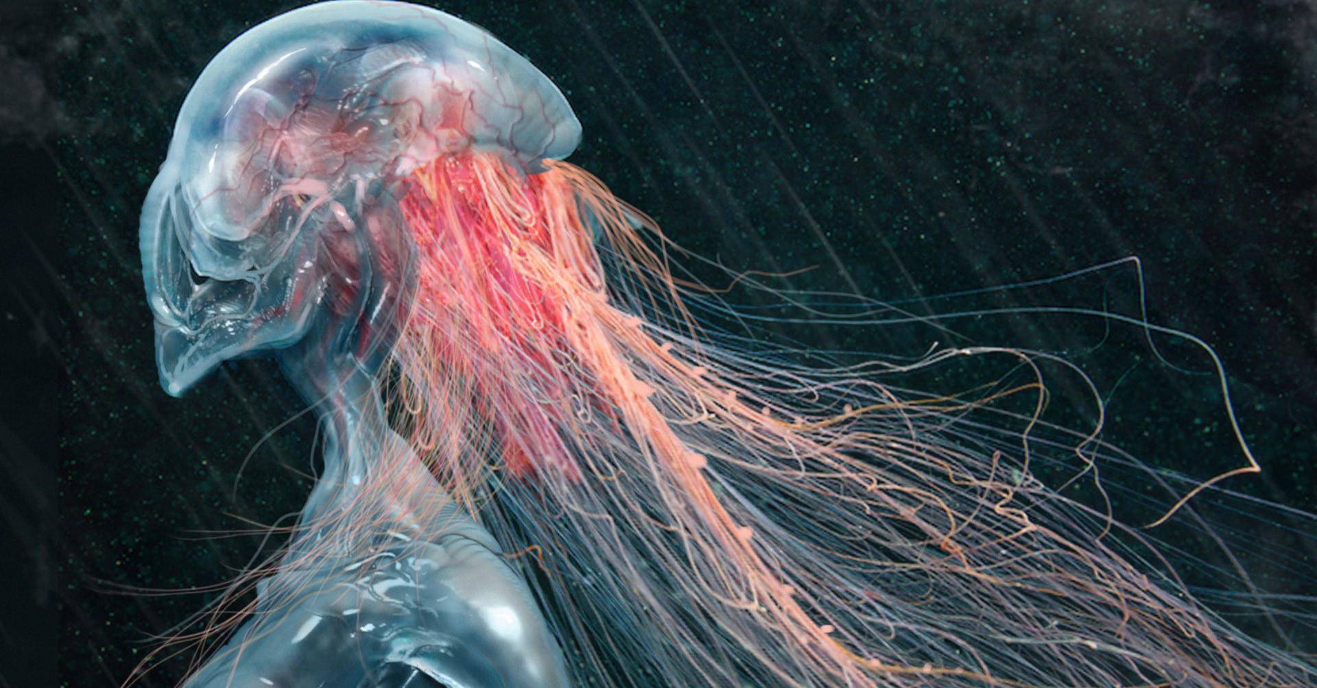 Surreal Human Jellyfish Fusion Artwork HD Wallpaper