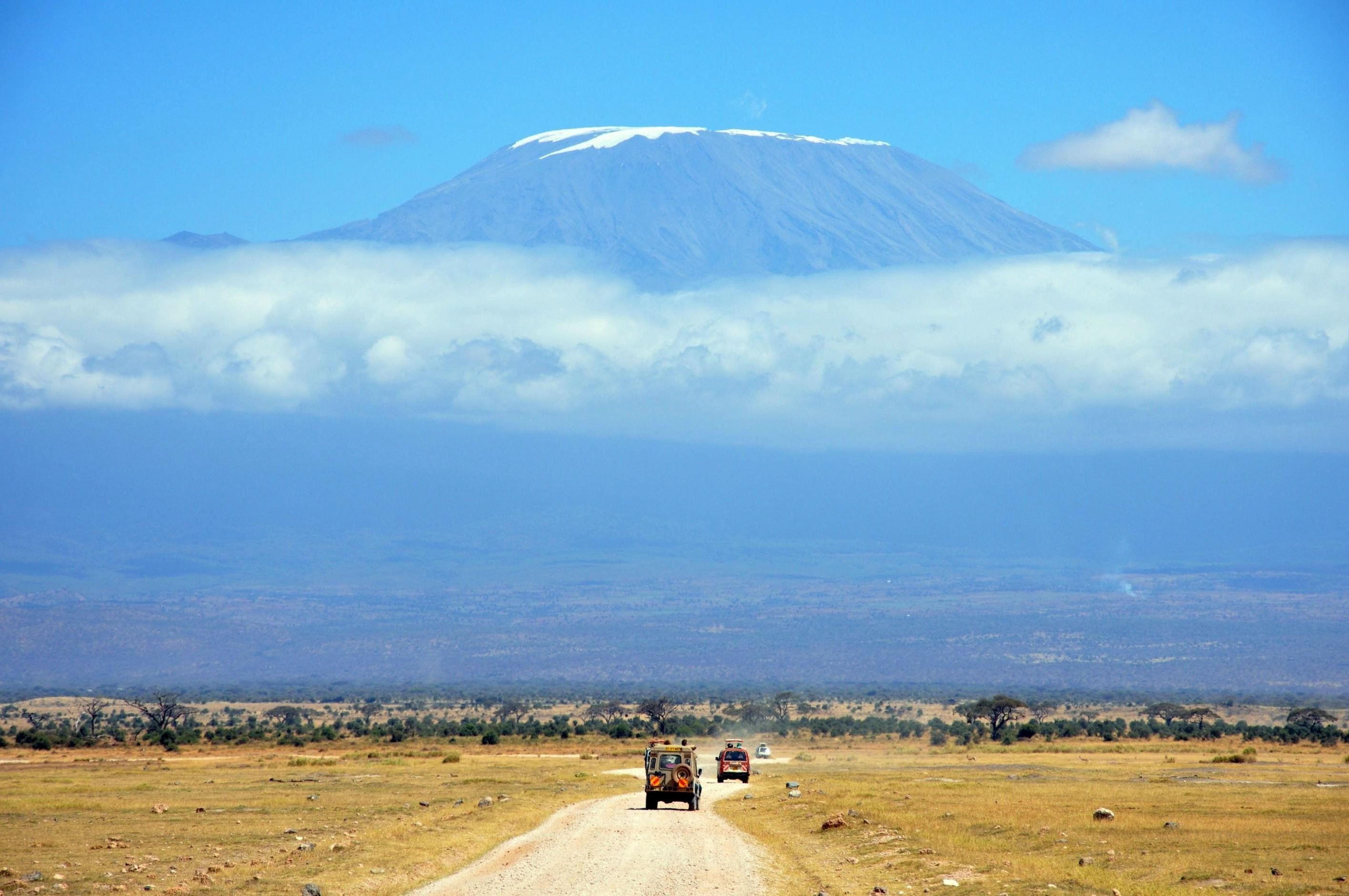 Mount Kilimanjaro with safari vehicles on a dirt road HD Wallpaper