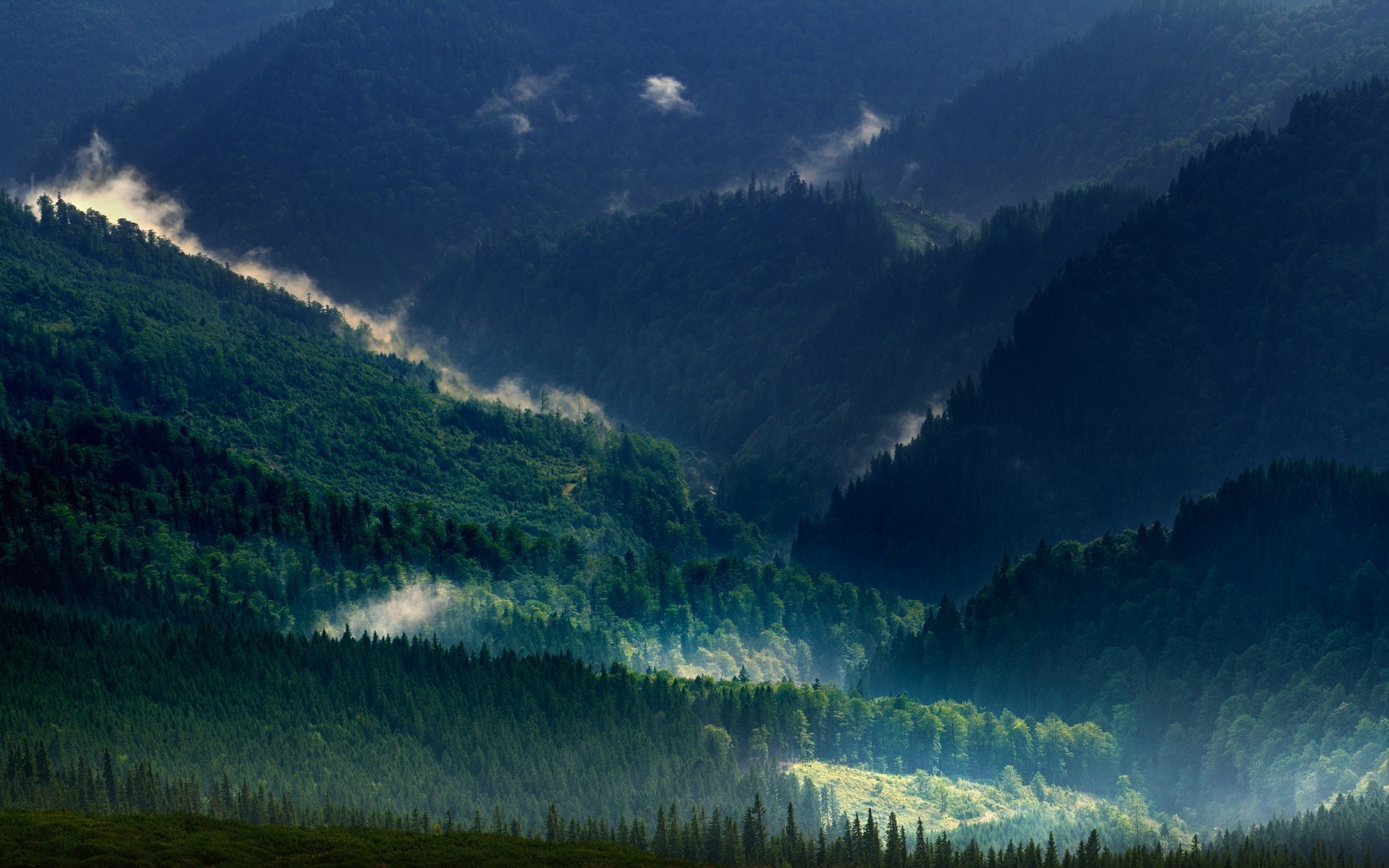Misty Mountains and Forest Landscape HD Wallpaper