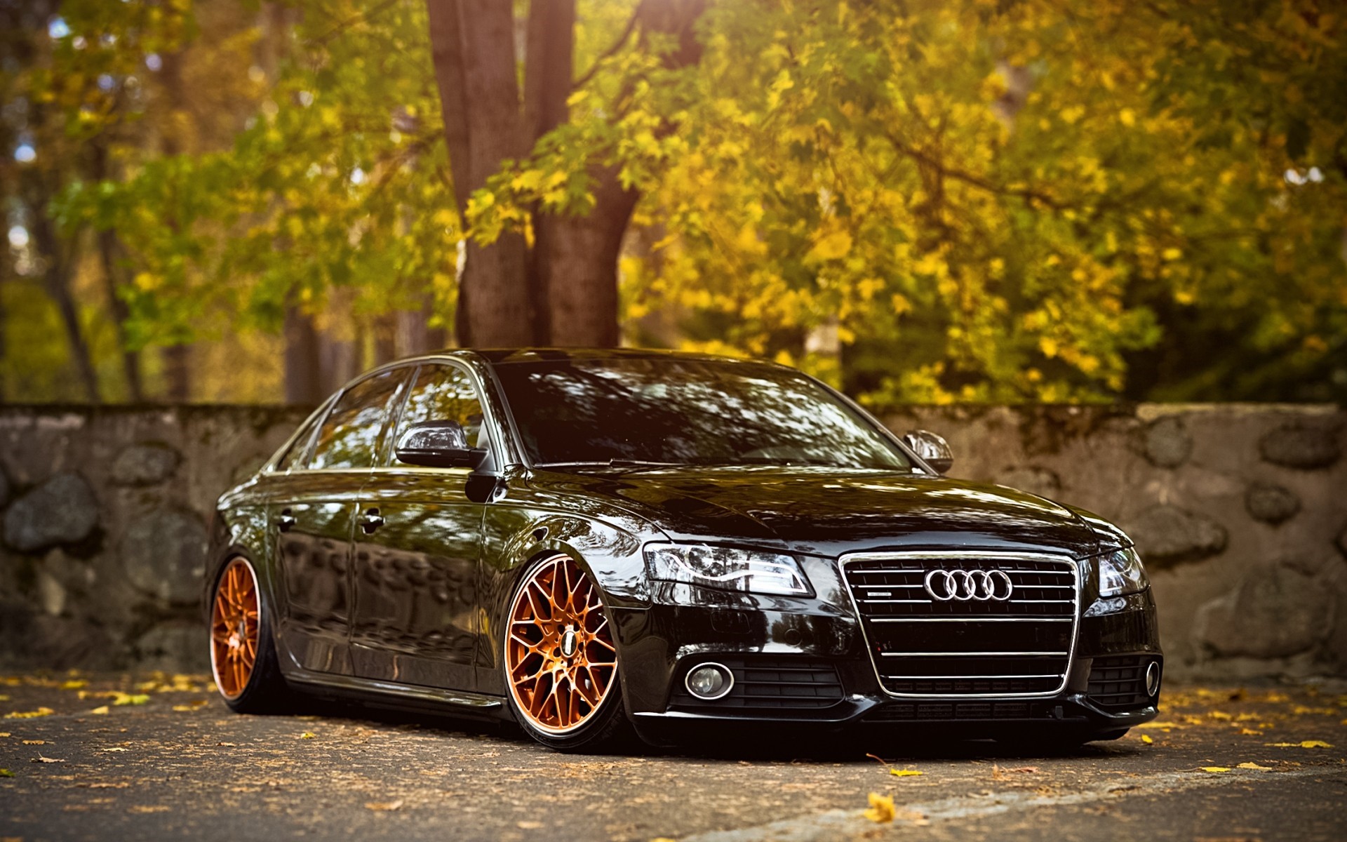 Black Audi A4 with custom rims in autumn setting HD Wallpaper
