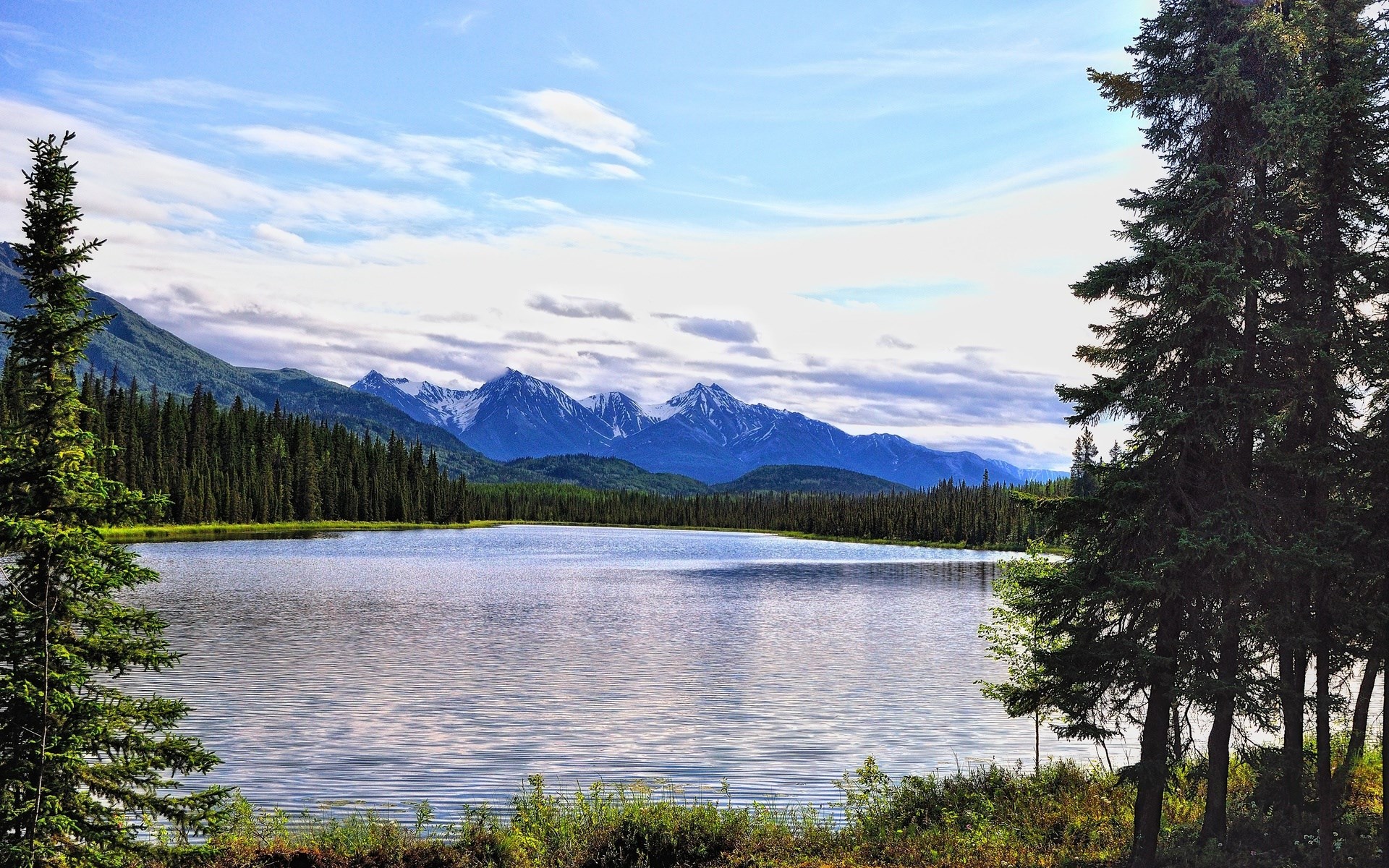 Lake and mountains with pine trees HD Wallpaper