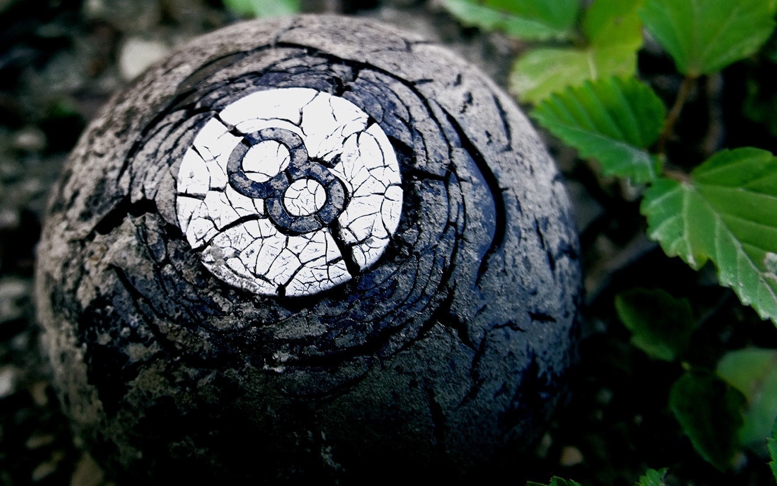 Close-up of a cracked 8-ball in nature HD Wallpaper