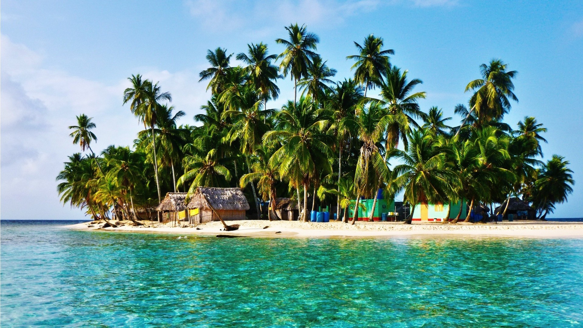 Tropical Island with Palm Trees and Clear Blue Water HD Wallpaper