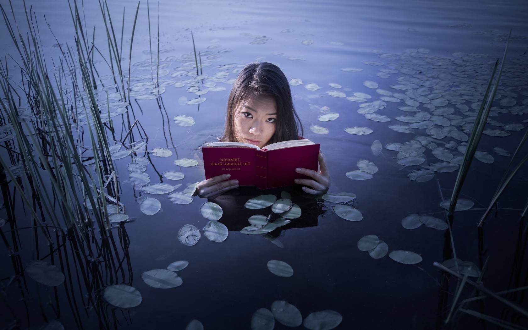 Woman reading a book in water with lily pads and reeds HD Wallpaper