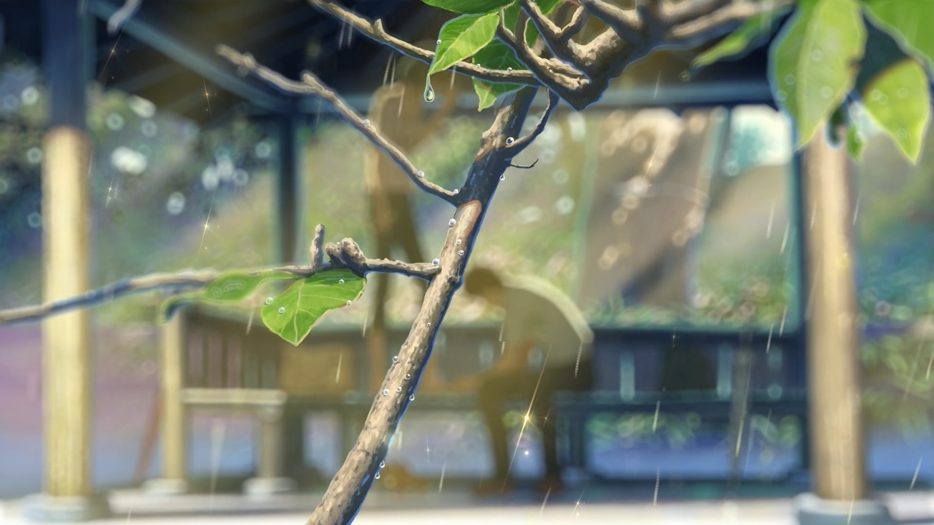 Rainy day at a bus stop with a tree branch HD Wallpaper