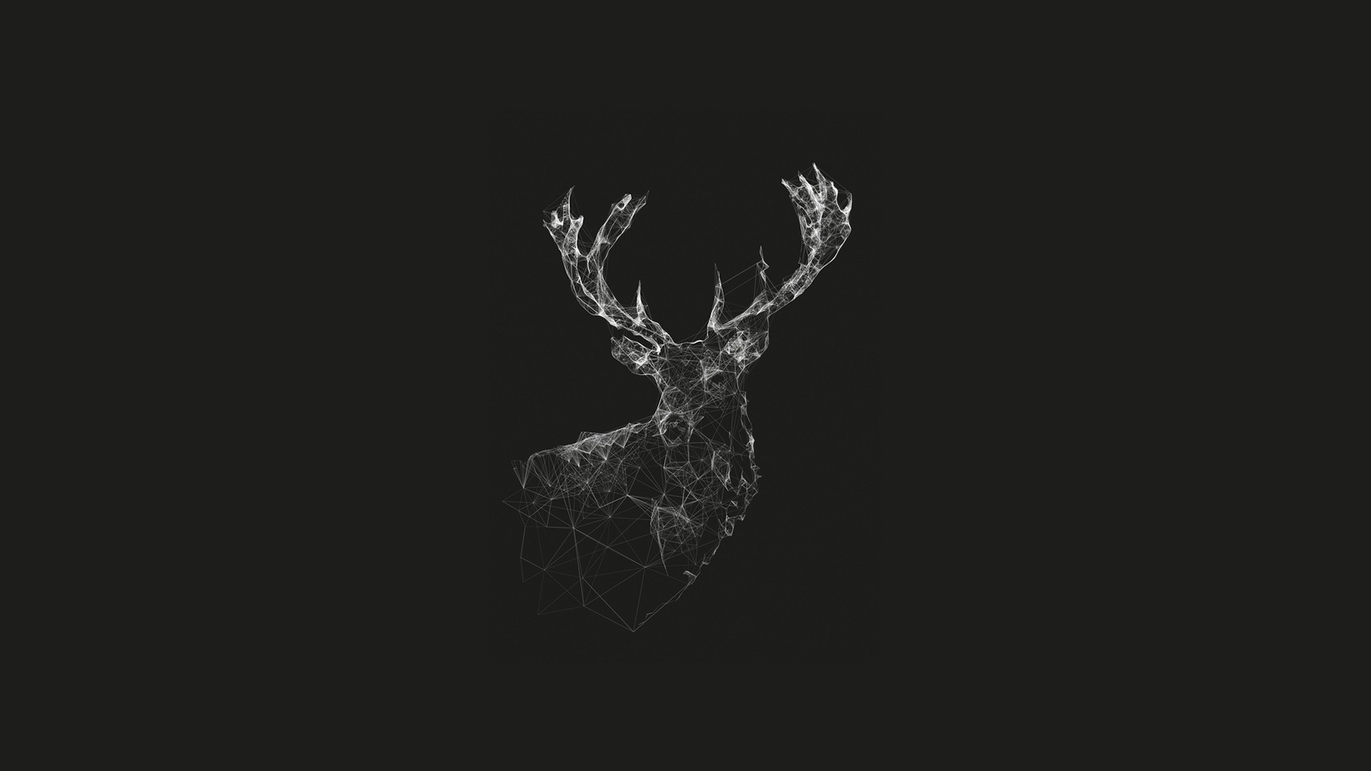 Wireframe deer head with antlers HD Wallpaper