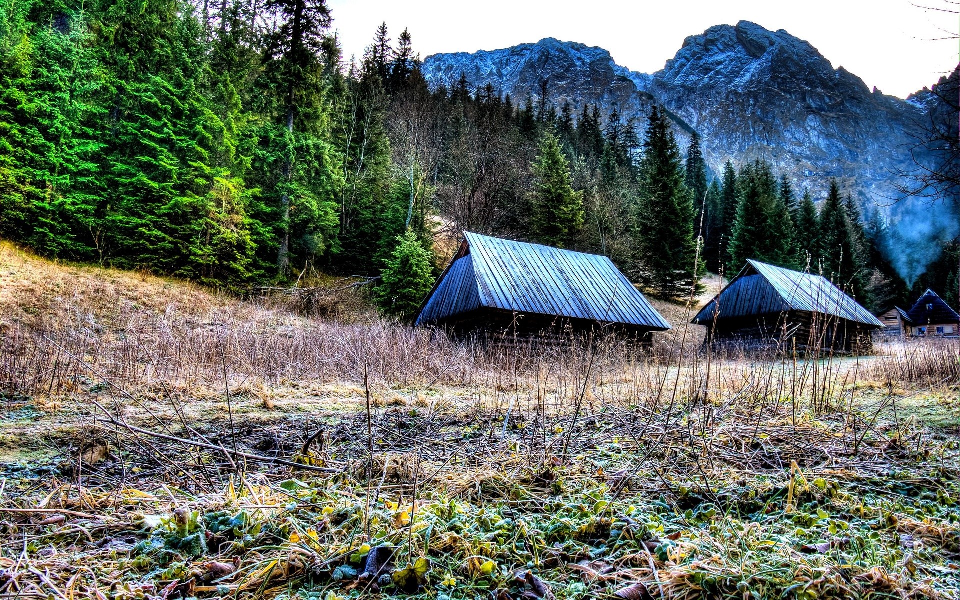 Wooden cabins in a forest with mountains HD Wallpaper