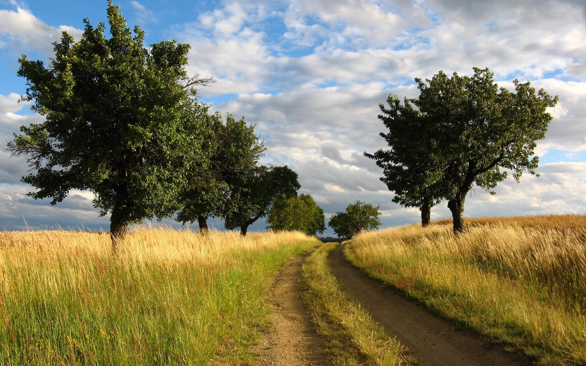 Dirt road through a field with trees and clouds HD Wallpaper