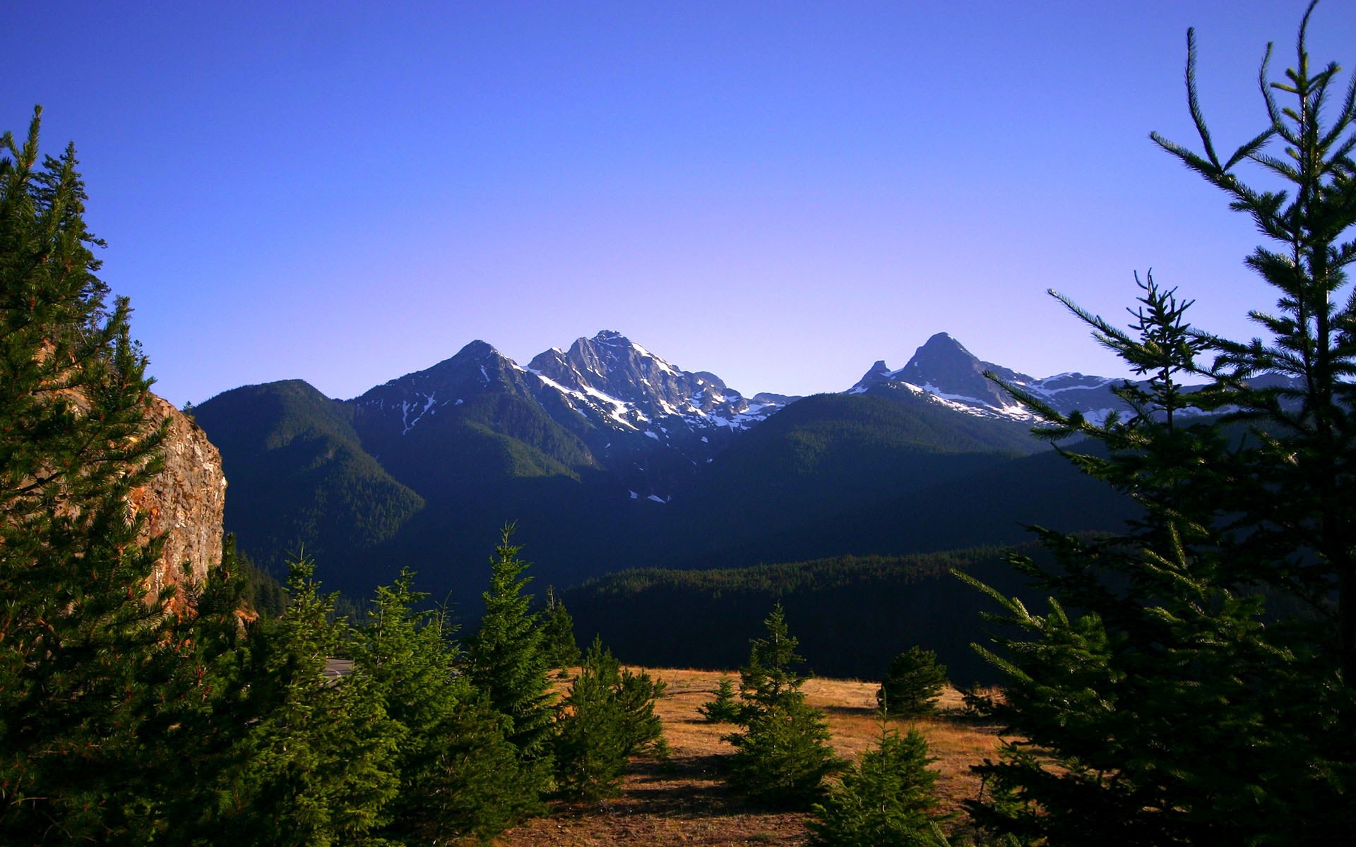 Snow-capped mountains behind evergreen trees under a clear blue sky HD Wallpaper