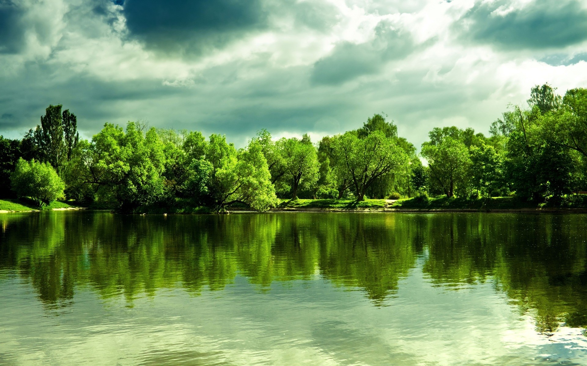 Trees reflected in a lake under a cloudy sky HD Wallpaper