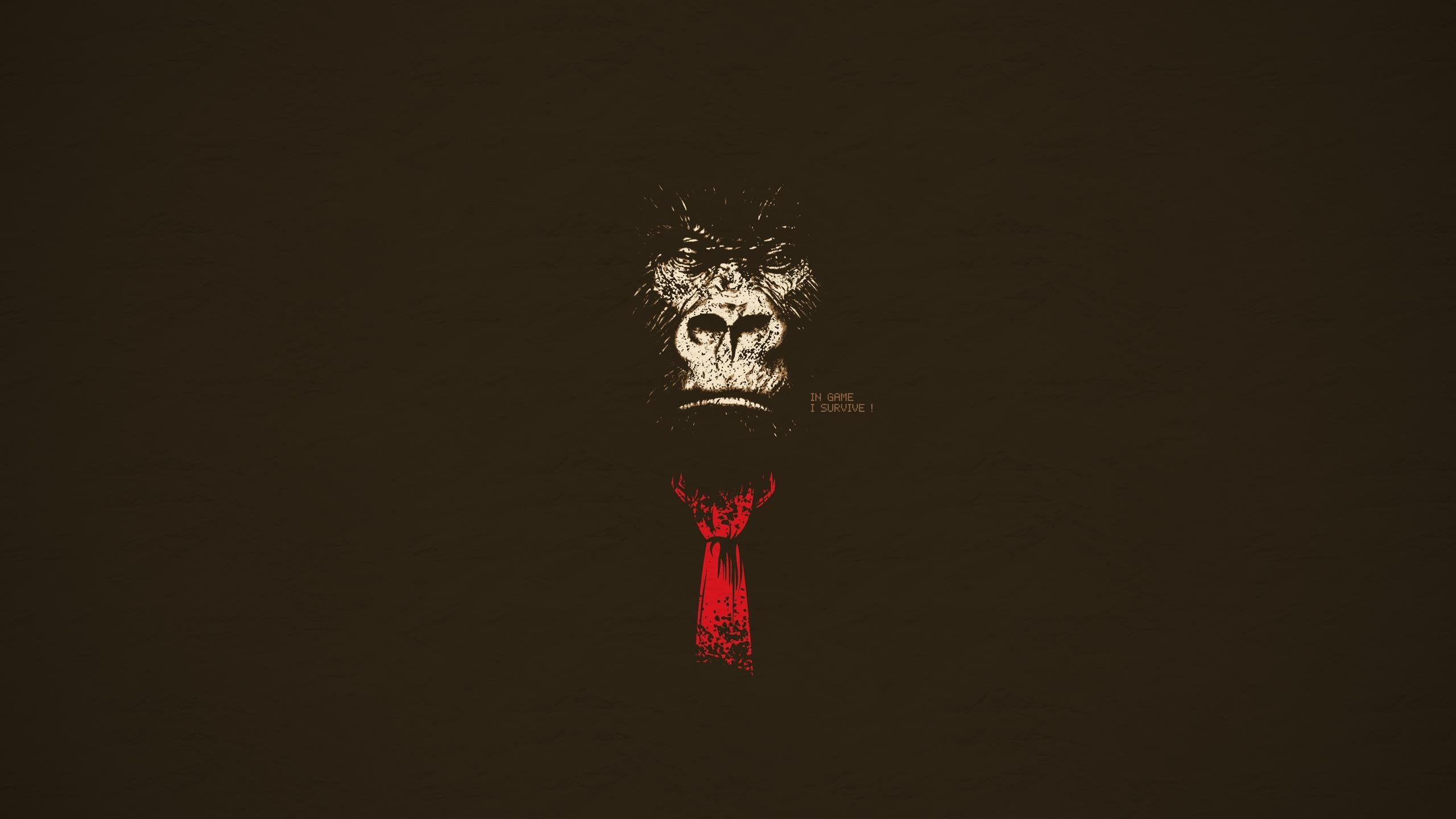Donkey Kong in a suit with a red tie HD Wallpaper