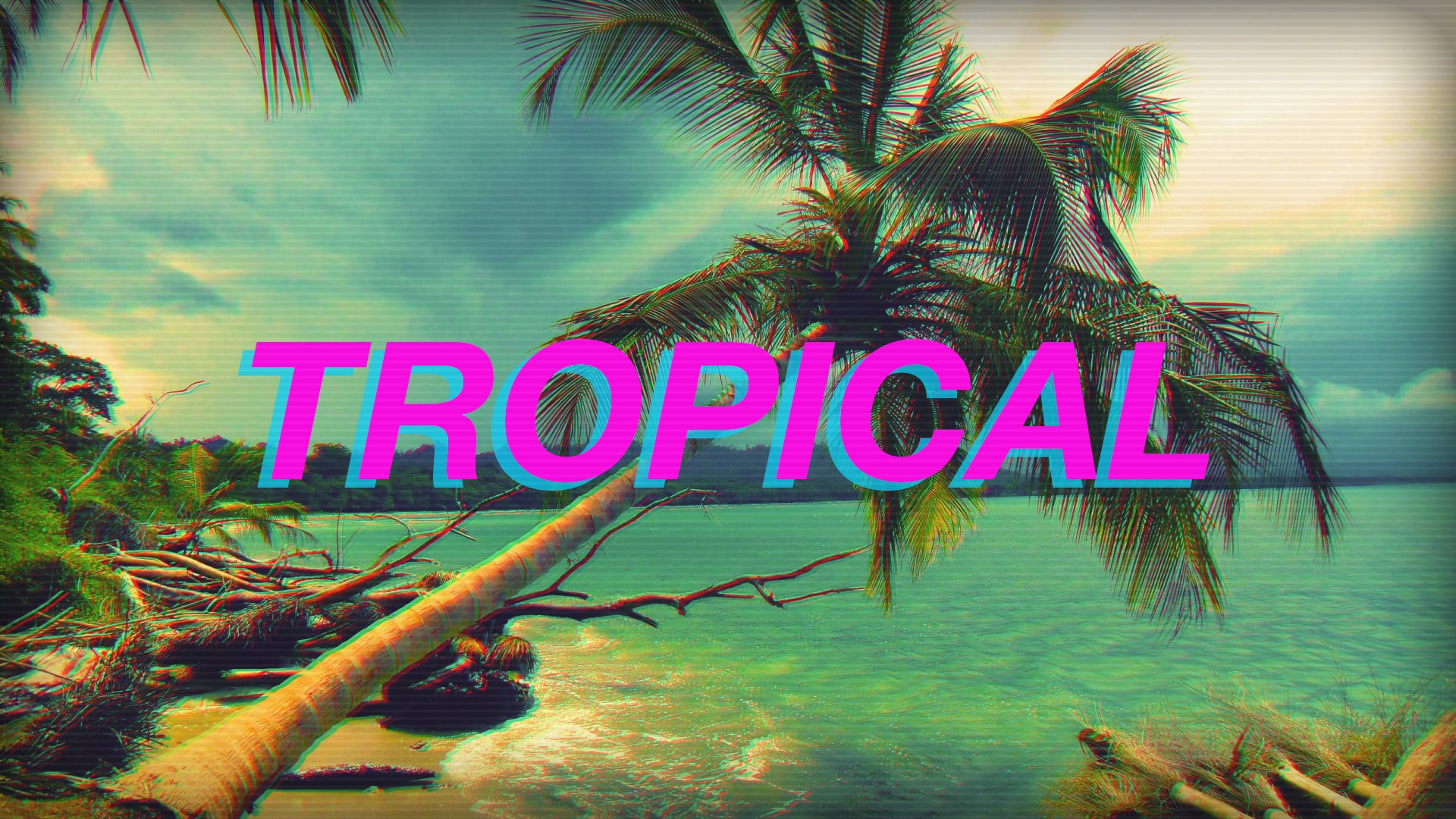 Tropical beach with palm trees and text HD Wallpaper