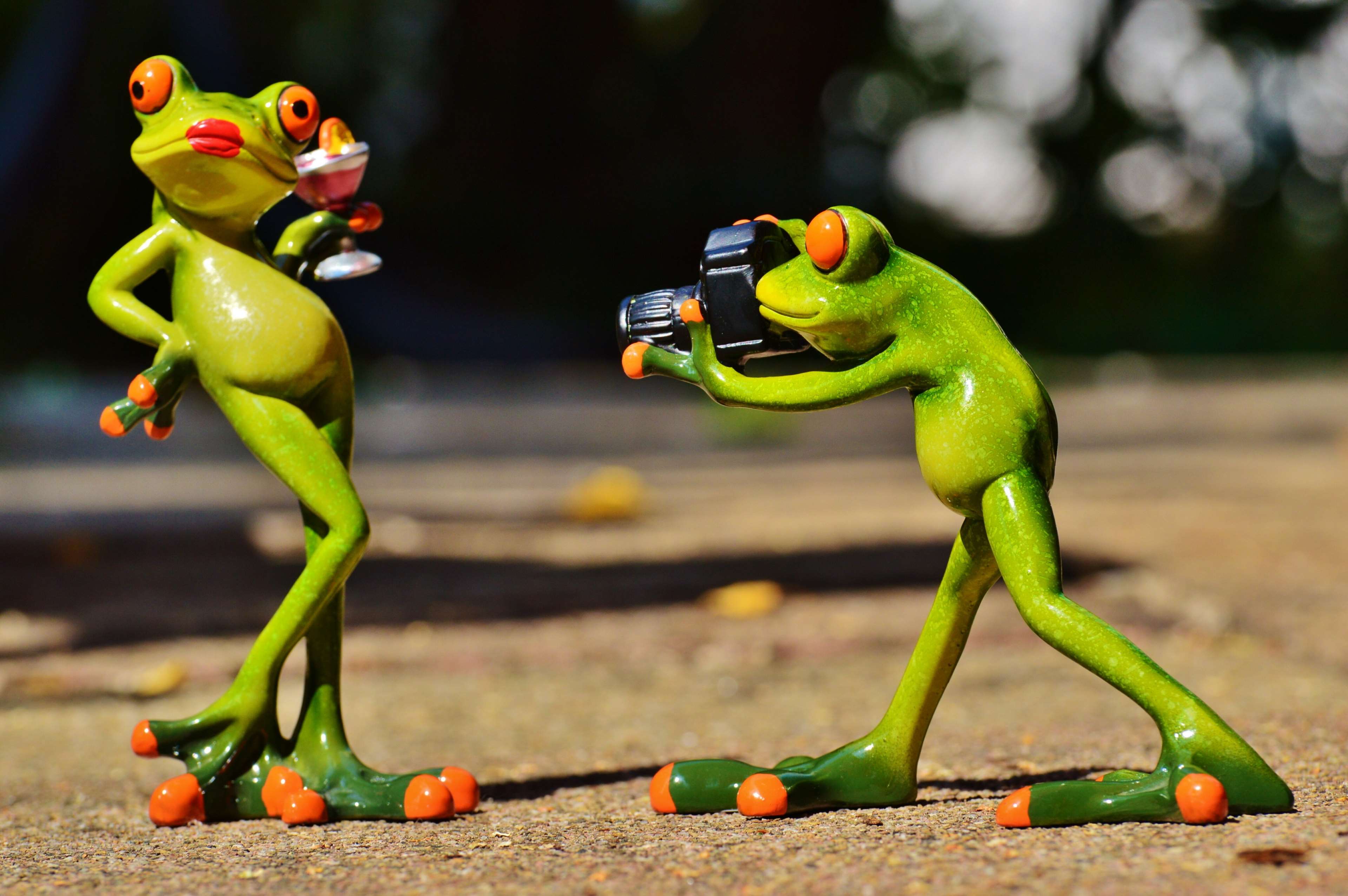Two cute frog figurines, one with a drink, one with a camera HD Wallpaper