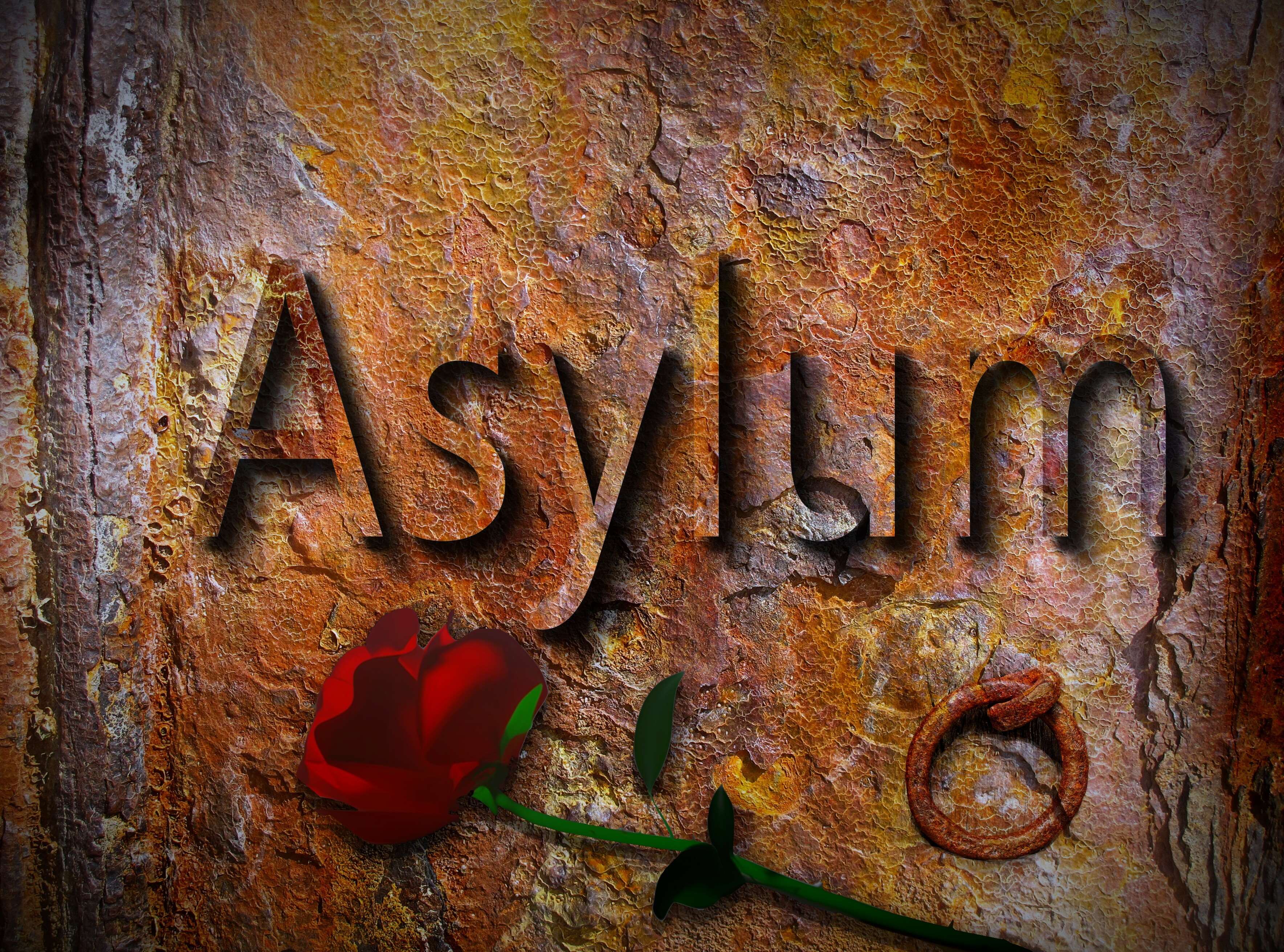 Asylum text with rose and snake HD Wallpaper
