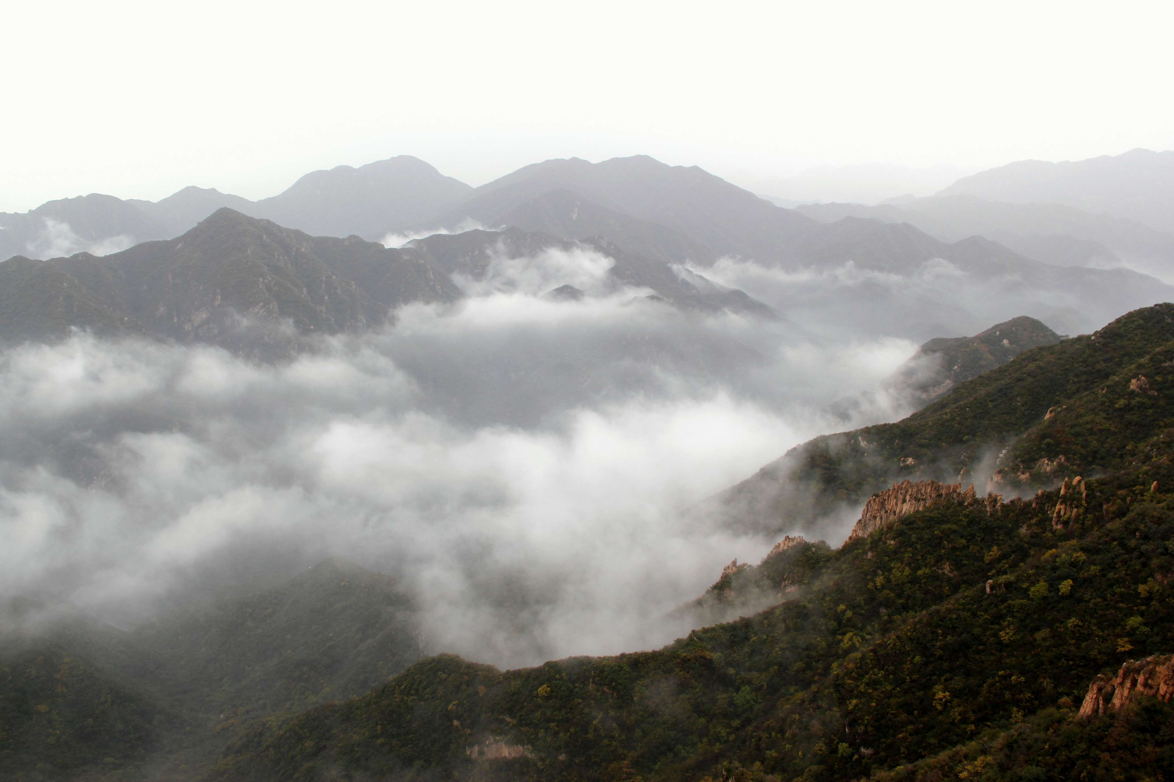 Misty mountains with clouds and forest 4K HD Wallpaper