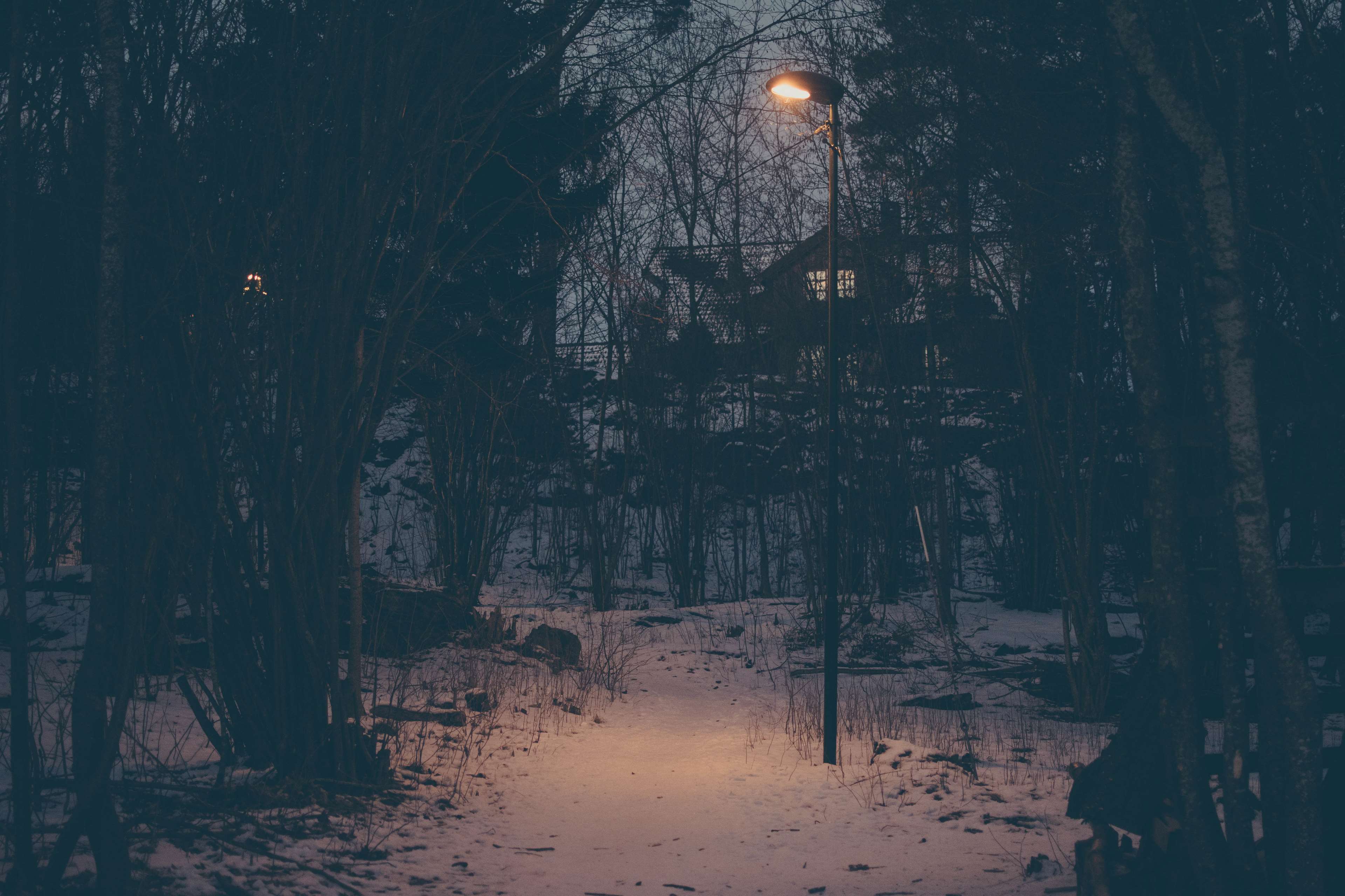 Path through woods at night with streetlight HD Wallpaper