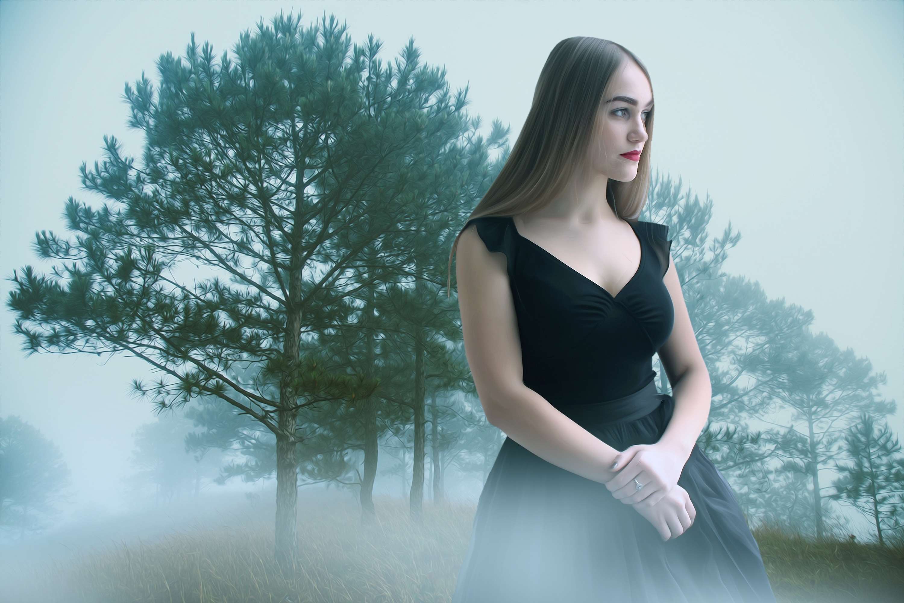 Woman in black dress in foggy forest HD Wallpaper