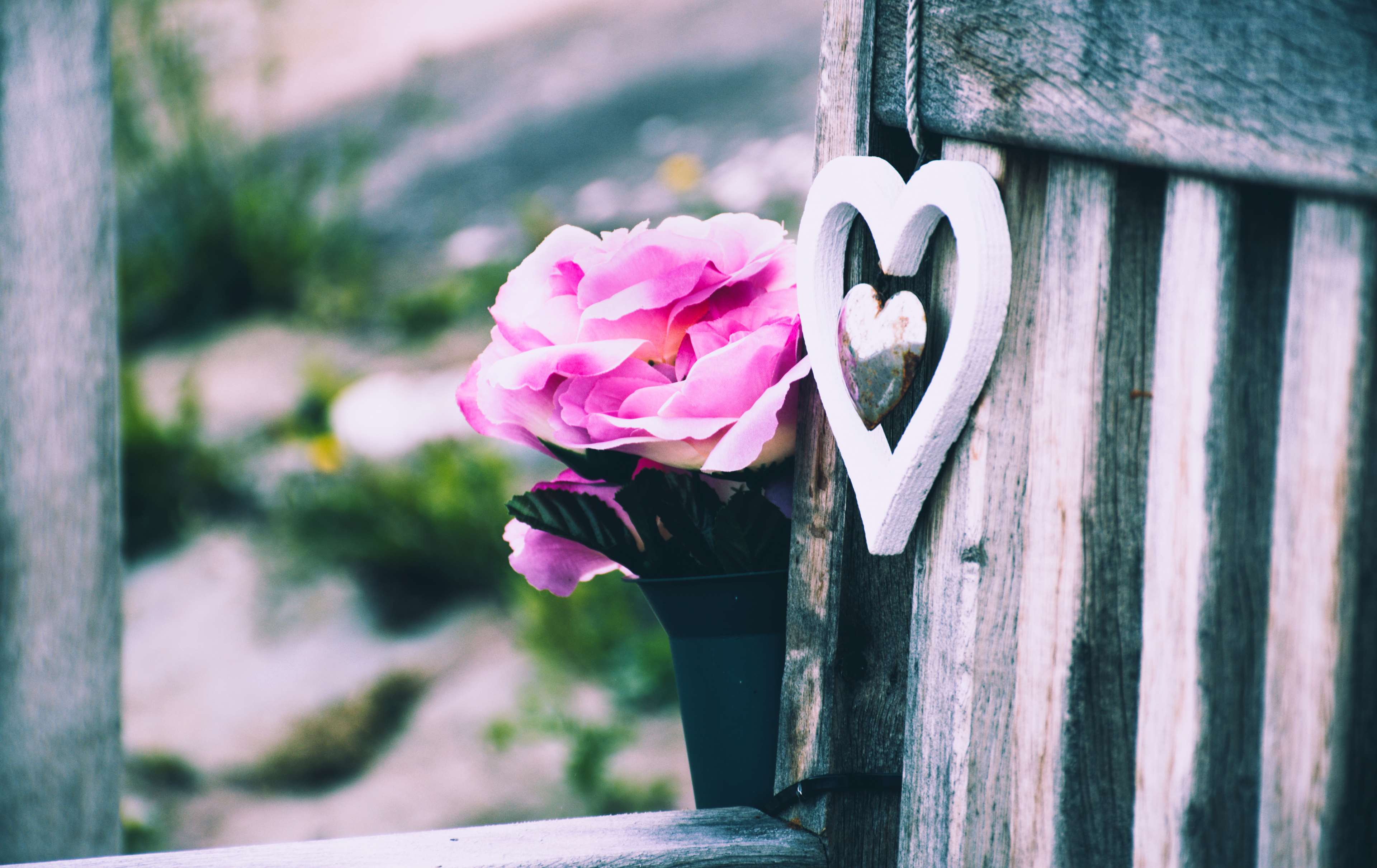 Pink rose and wooden heart decoration on bench HD Wallpaper
