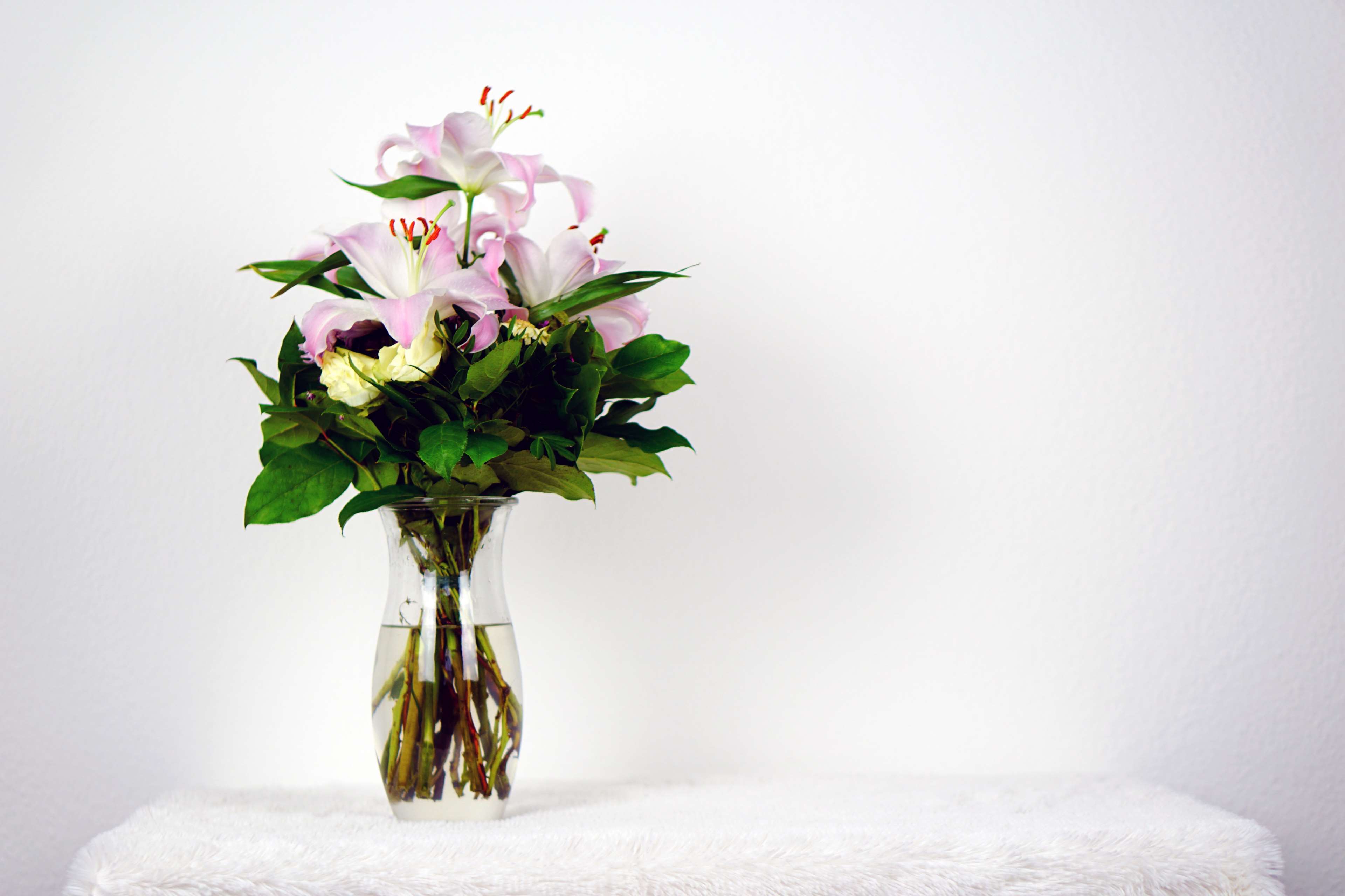 Pink lilies in a glass vase on a white surface HD Wallpaper