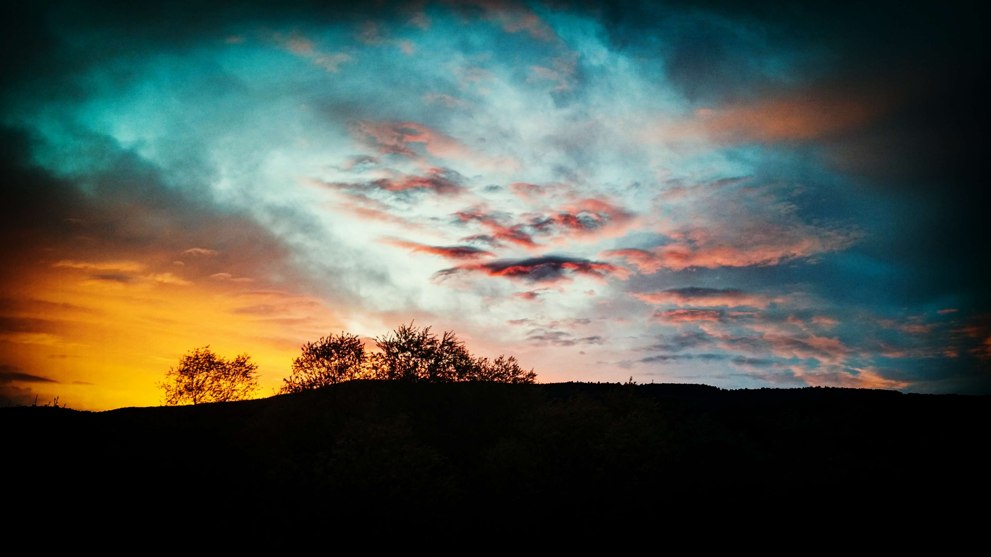 Silhouette of trees against a colorful sunset sky HD Wallpaper