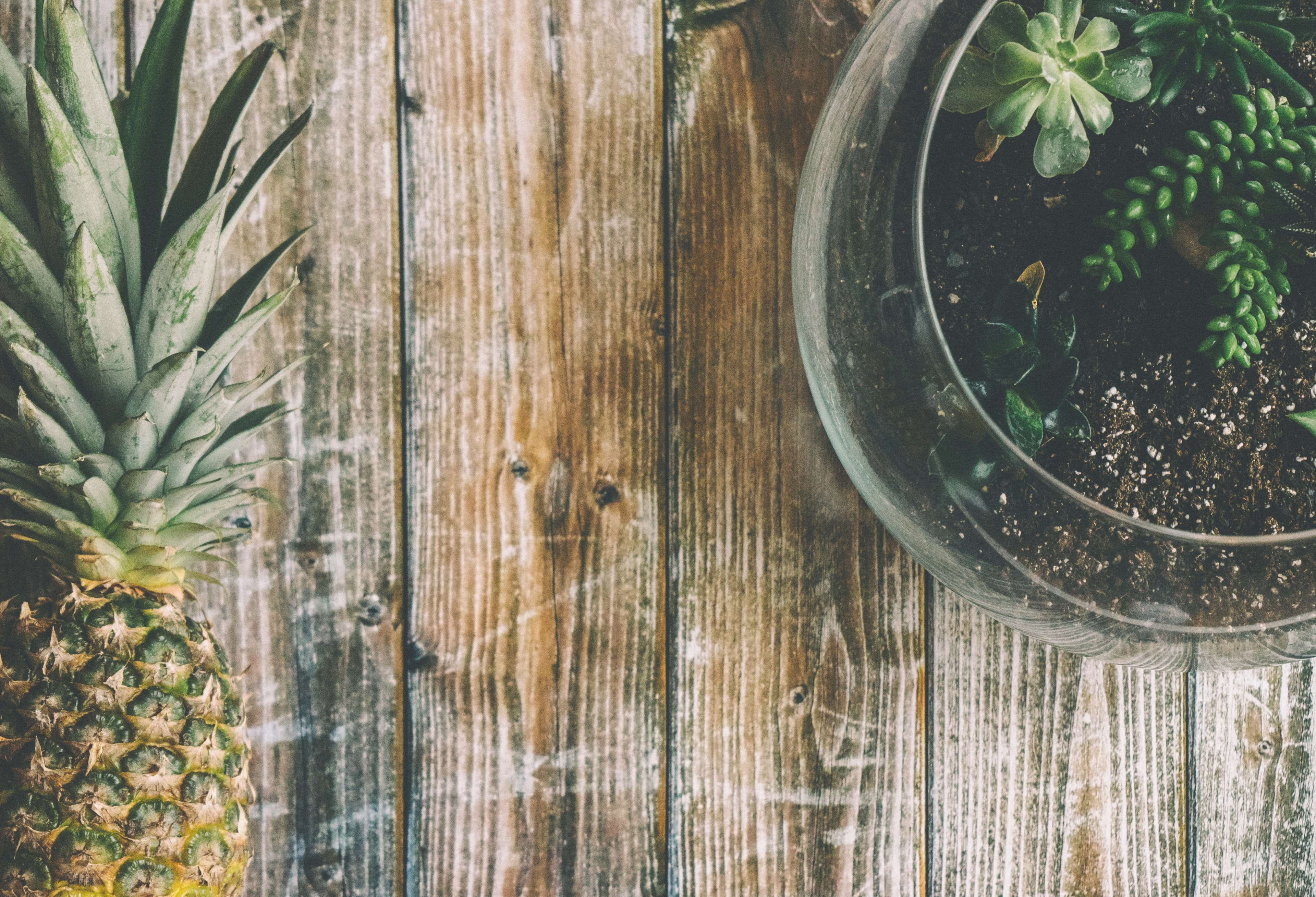 Pineapple and succulent terrarium on wooden table HD Wallpaper